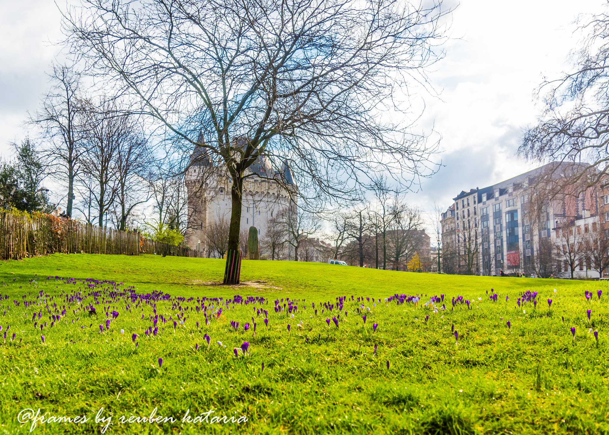 Nikon D810 sample photo. Brussels street life photography