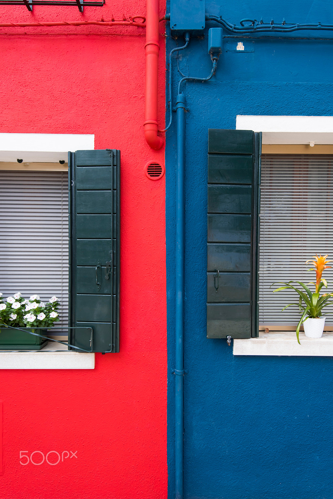 Nikon D810 sample photo. Burano wall photography