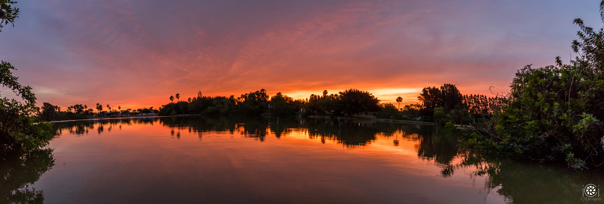 Canon EF-S 10-22mm F3.5-4.5 USM sample photo. A nutria's view this morning photography