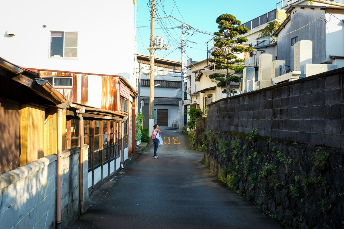 Fujifilm X-E1 + Fujifilm XF 18-55mm F2.8-4 R LM OIS sample photo