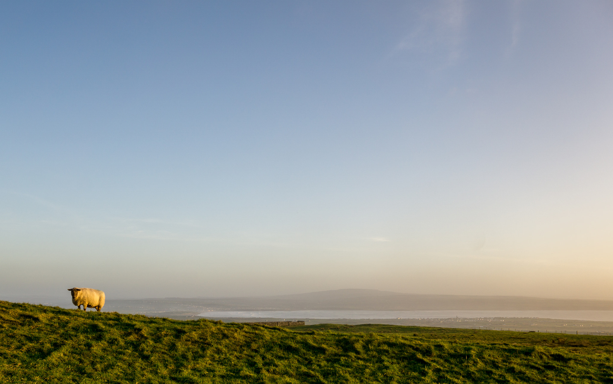 Sony a6000 + Sigma 19mm F2.8 EX DN sample photo. Sunset, sheep and a view photography