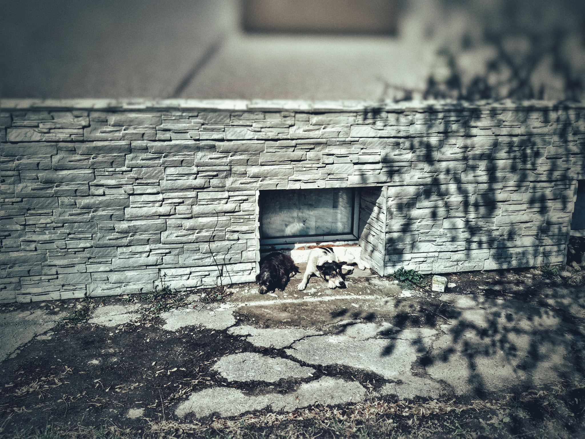 Meizu U20 sample photo