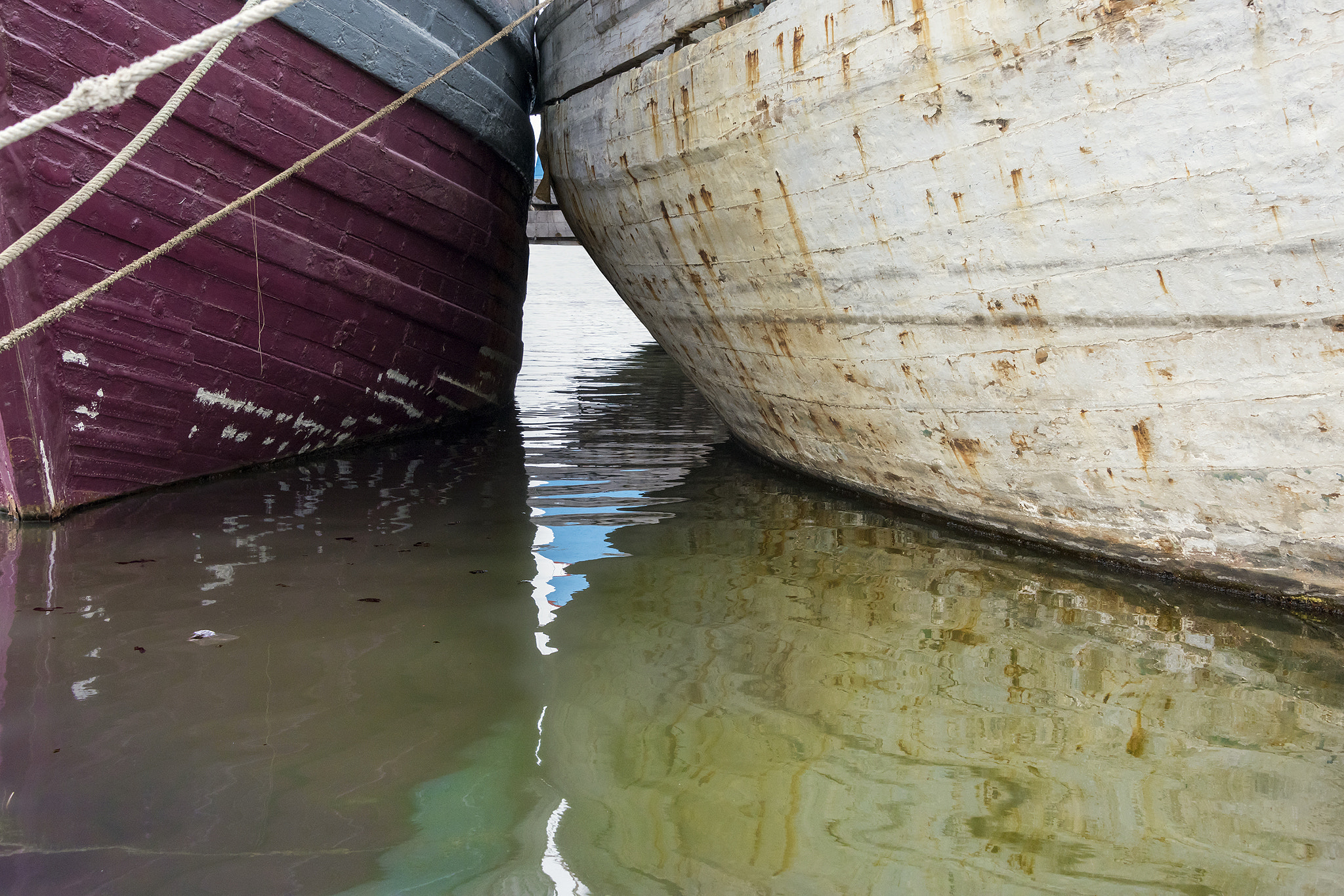 Nikon D810 sample photo. Reflected patch of blue photography