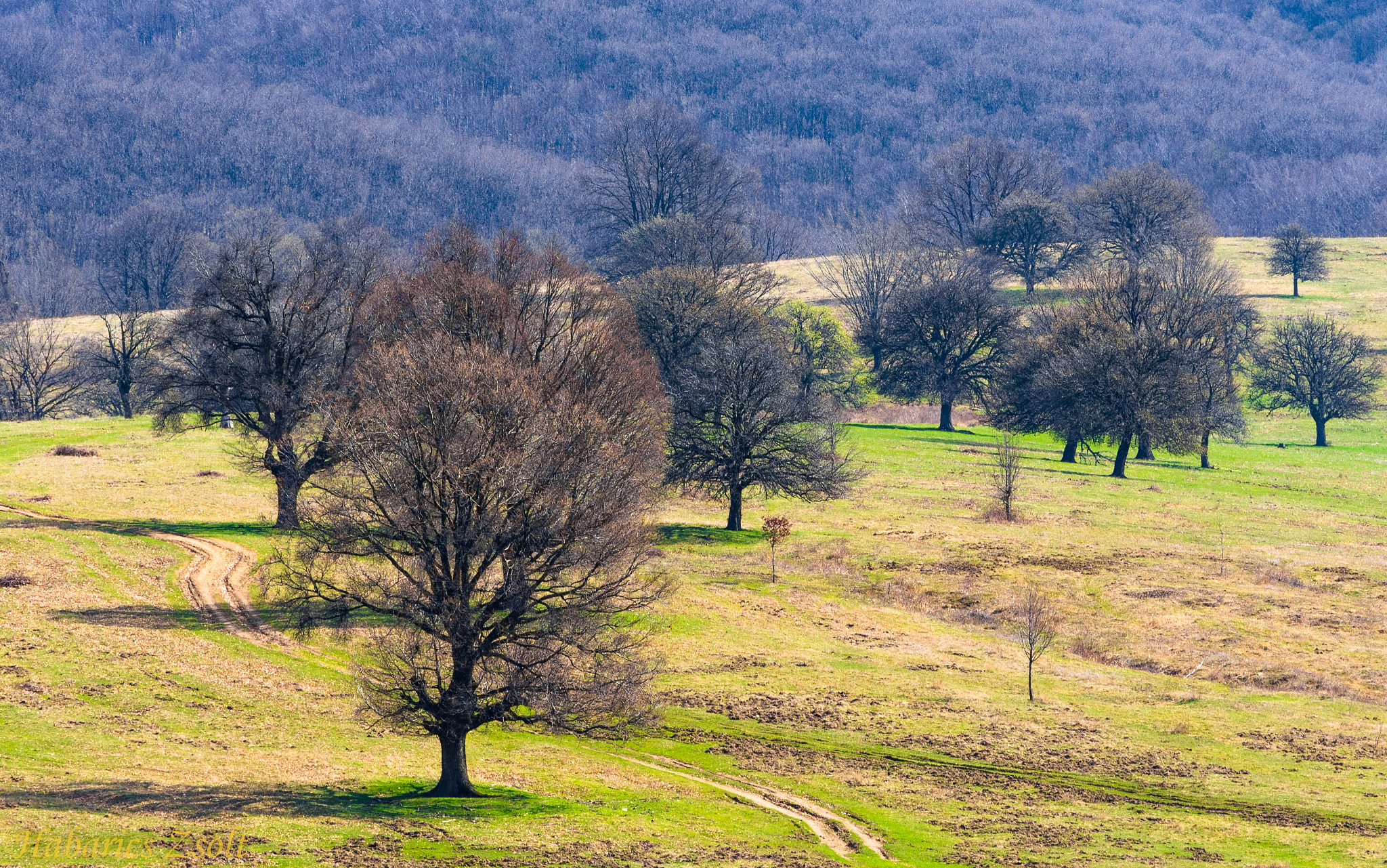 Nikon D7200 sample photo. Welcome spring 3 photography