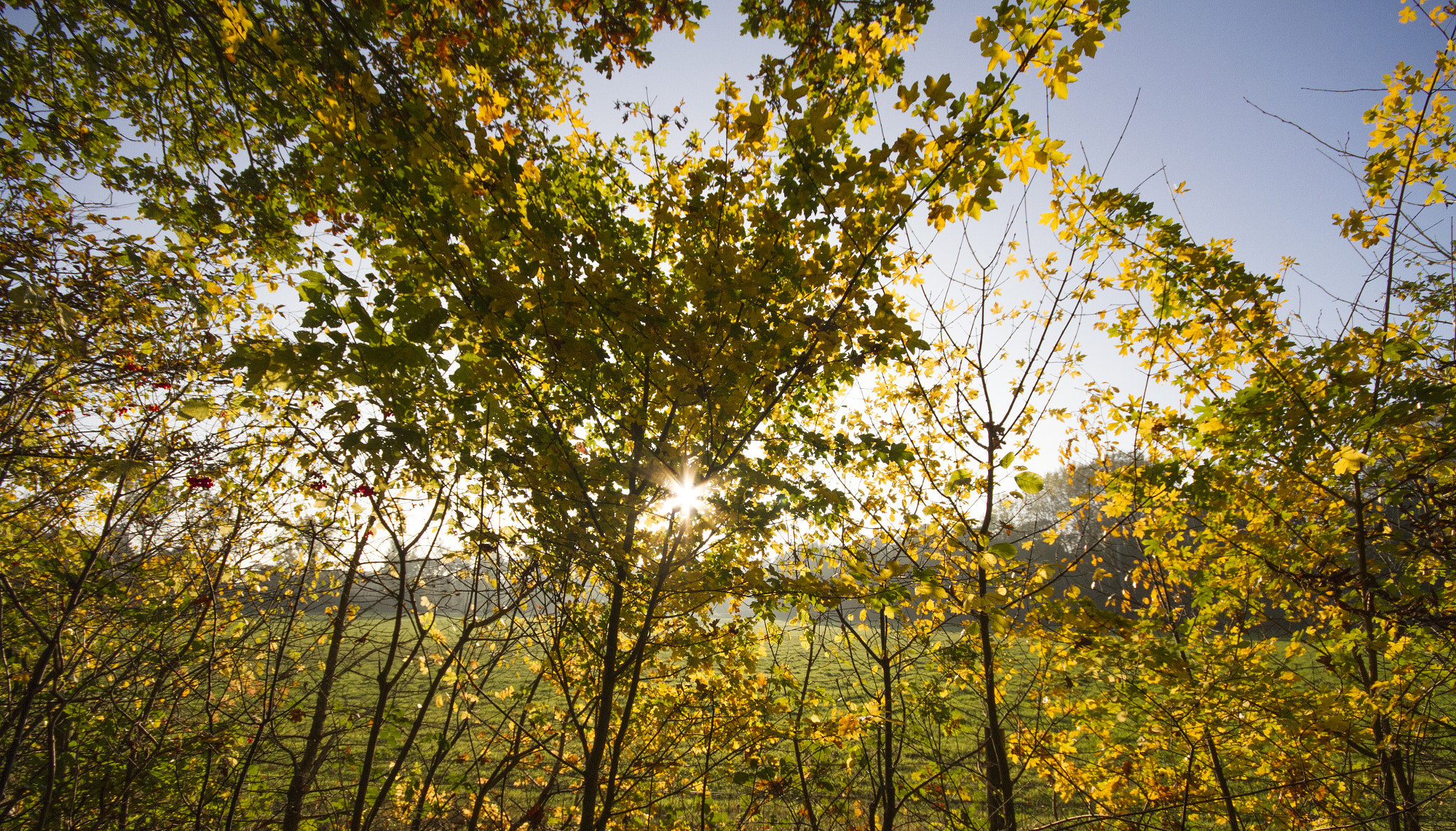 Canon EOS 7D sample photo. Autumn sunshine photography
