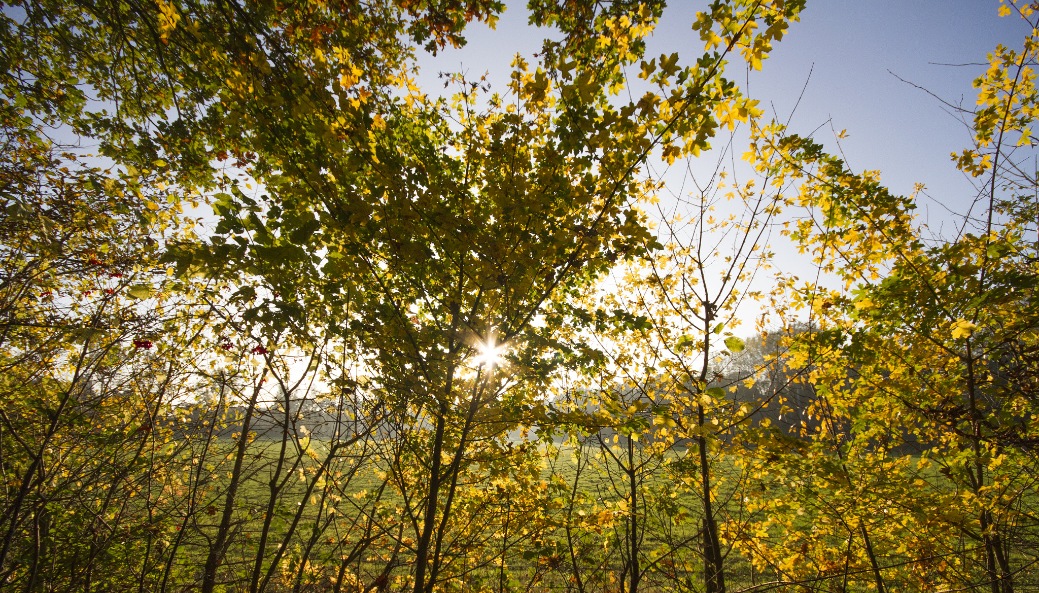 Canon EOS 7D + Sigma 10-20mm F4-5.6 EX DC HSM sample photo. Autumn sunshine photography