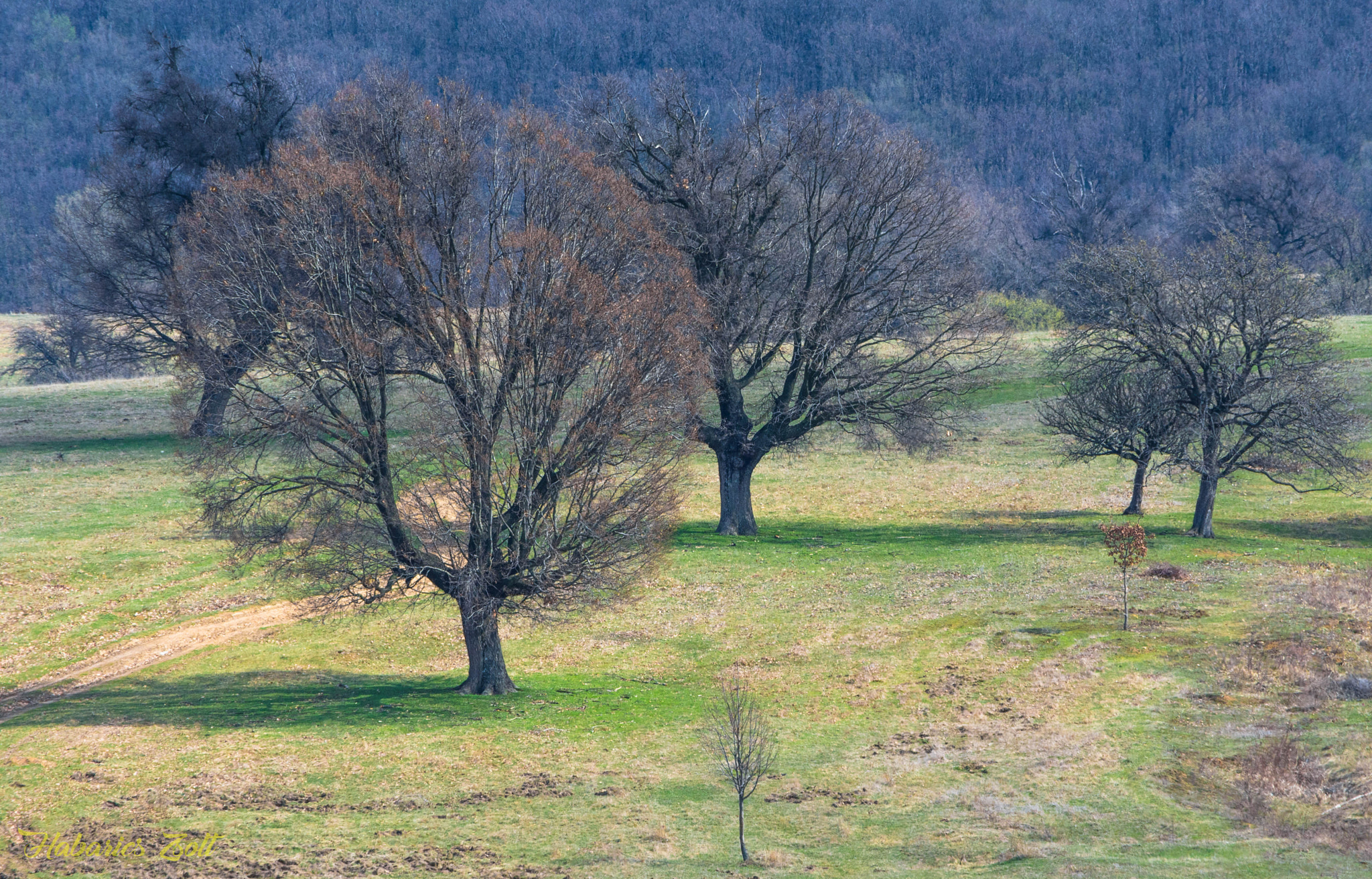 Nikon D7200 sample photo. Welcome spring 5 photography