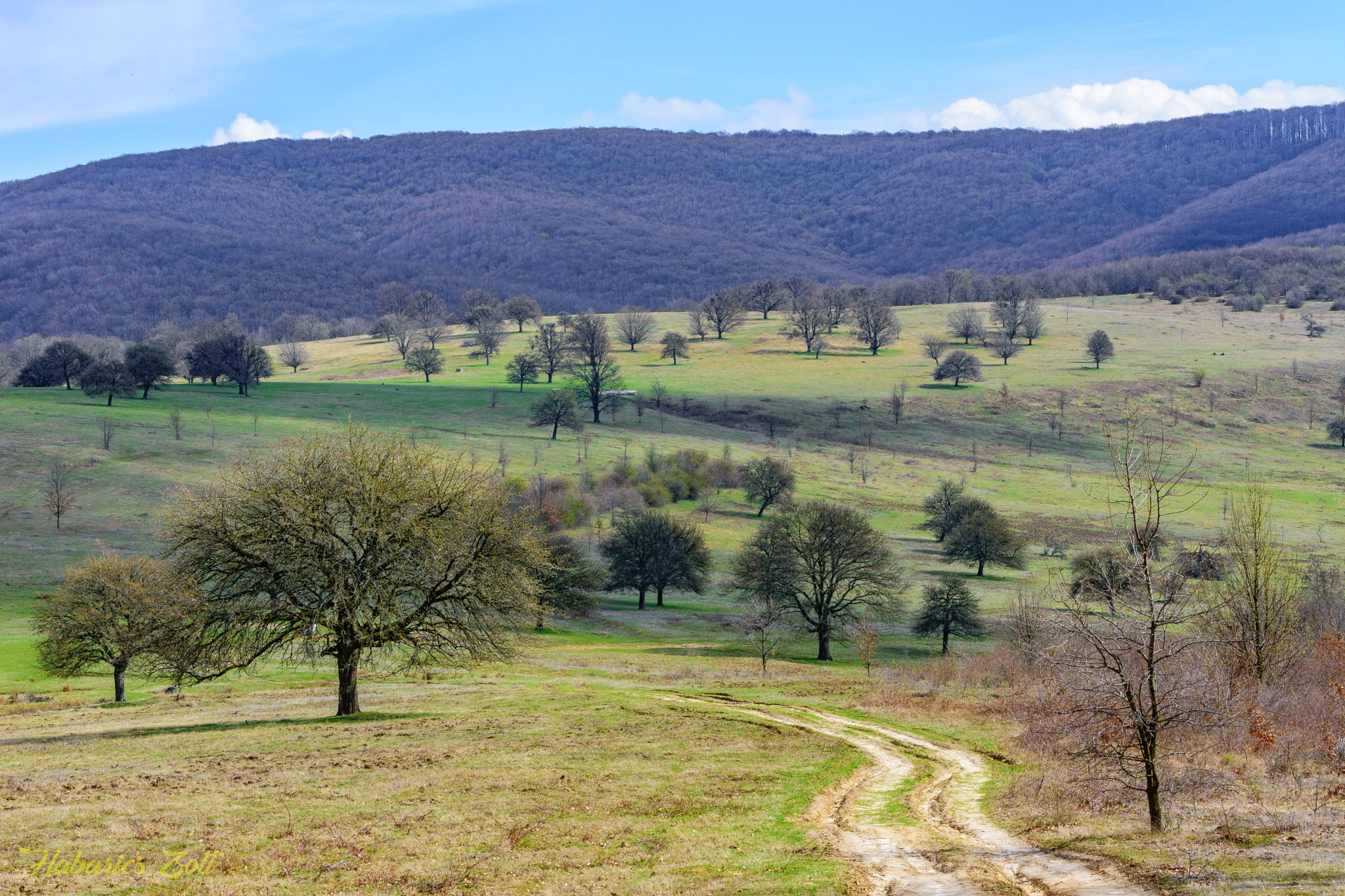 Nikon D7200 sample photo. Welcome spring 6 photography