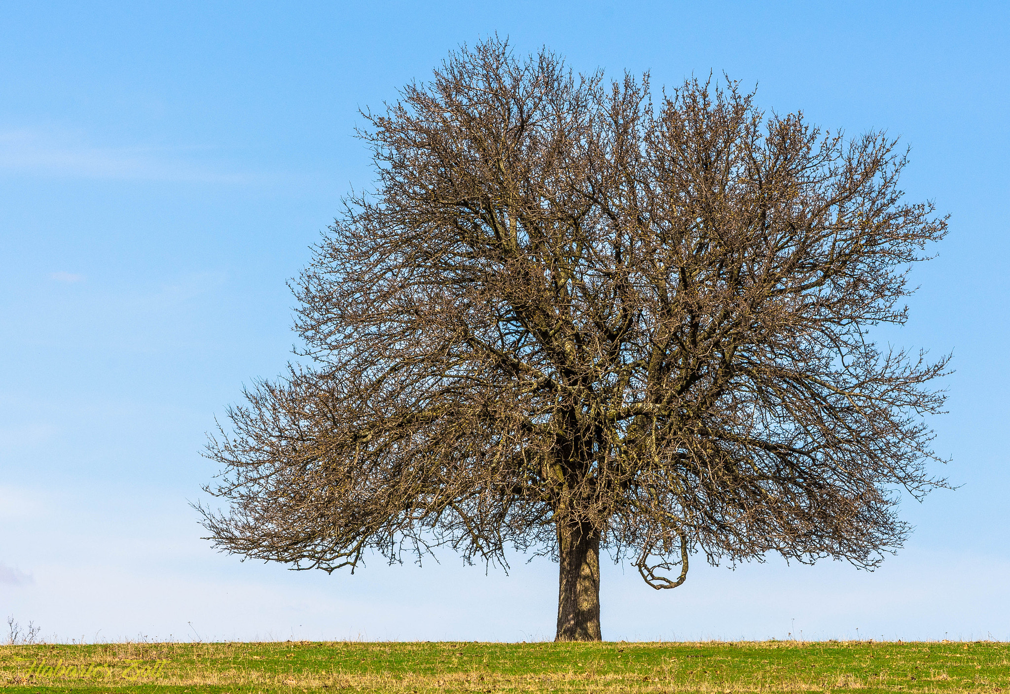Nikon D7200 sample photo. Lonely 1 photography