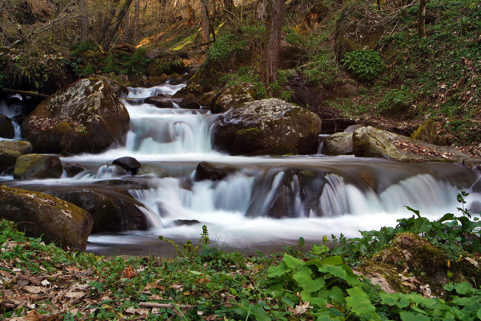 Sony Alpha NEX-5T + Tamron 18-270mm F3.5-6.3 Di II PZD sample photo. Вешние воды photography