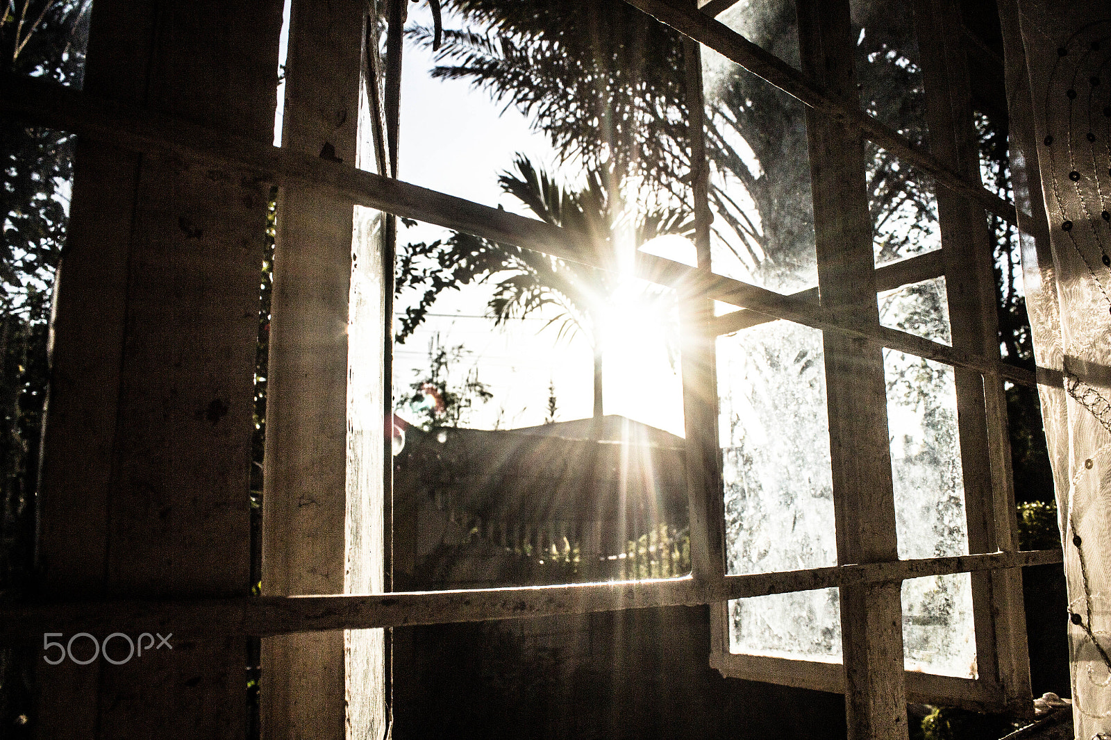Canon EOS 650D (EOS Rebel T4i / EOS Kiss X6i) sample photo. Sun rays photography