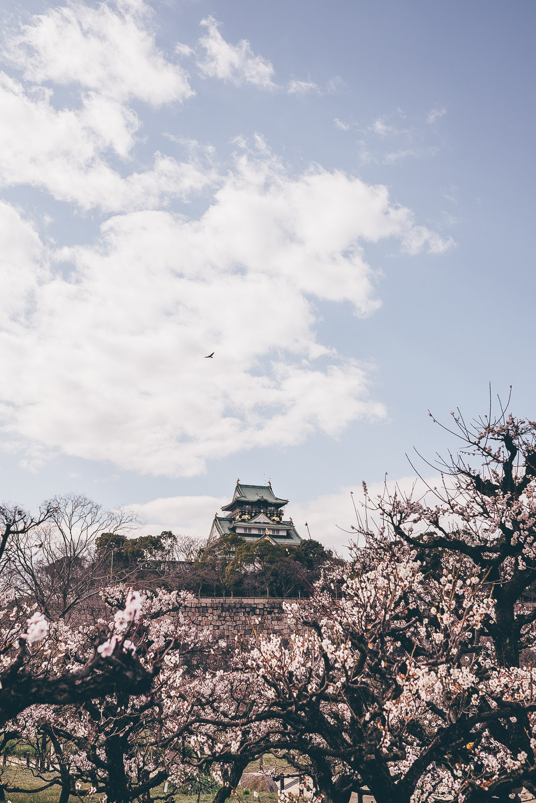 Fujifilm X-T1 sample photo. Plum garden photography