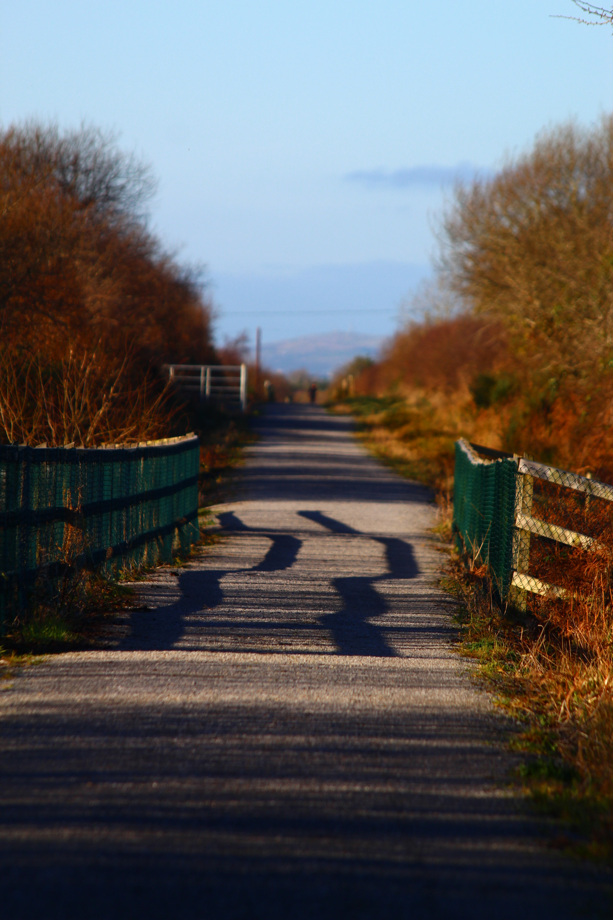 Canon EF 70-300mm F4-5.6 IS USM sample photo. Shadows photography