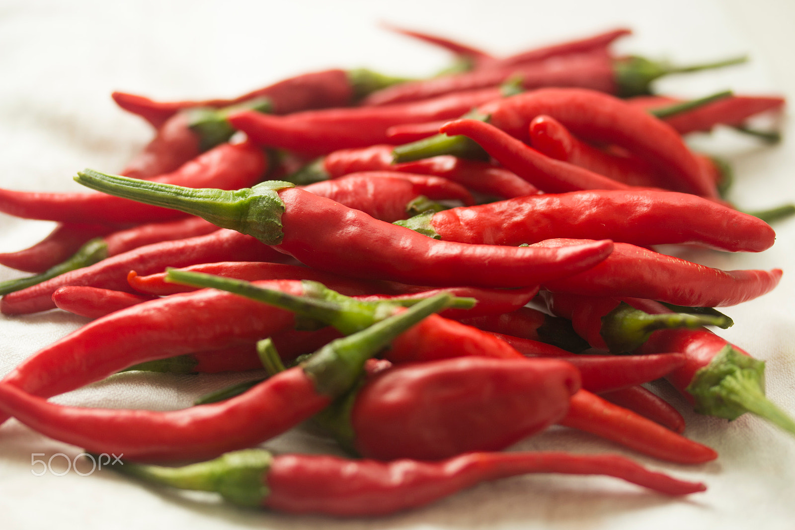 Canon EF-S 60mm F2.8 Macro USM sample photo. Chili pepper photography