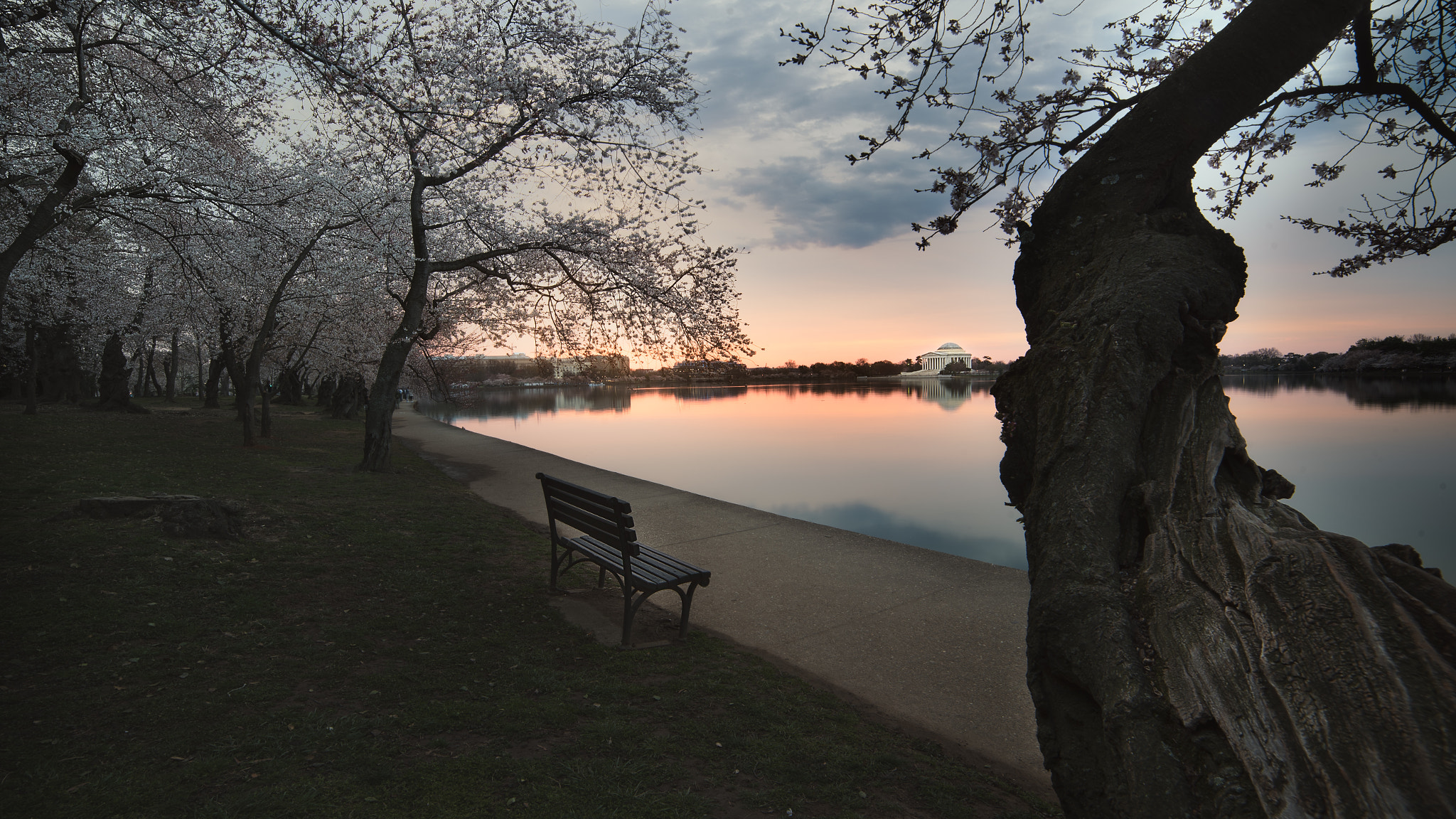 Samyang 14mm F2.8 ED AS IF UMC sample photo. Sunrise over jefferson memorial photography