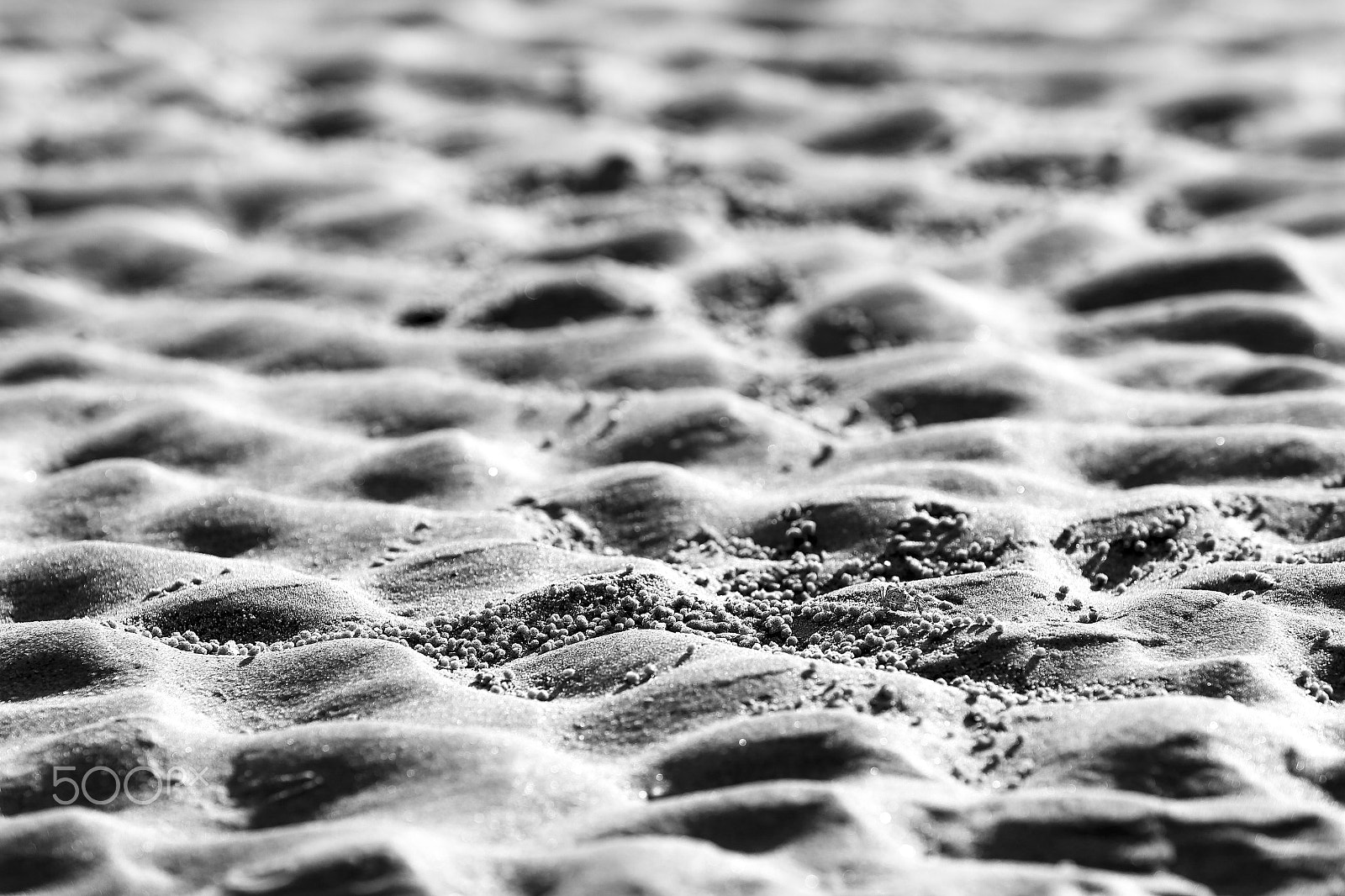 Canon EF 70-200mm F2.8L IS II USM sample photo. Off to look in the sky and water photography