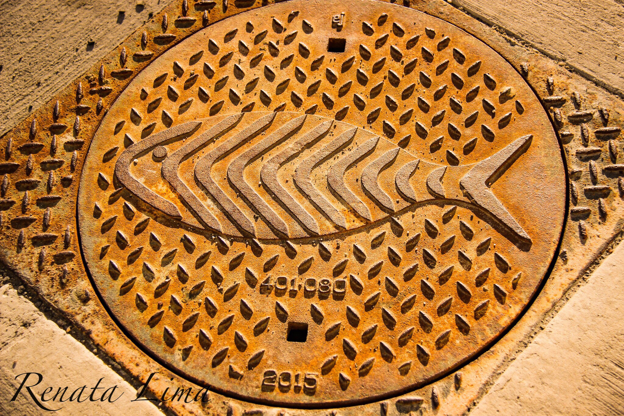 Canon EF-S 18-200mm F3.5-5.6 IS sample photo. Manhole photography