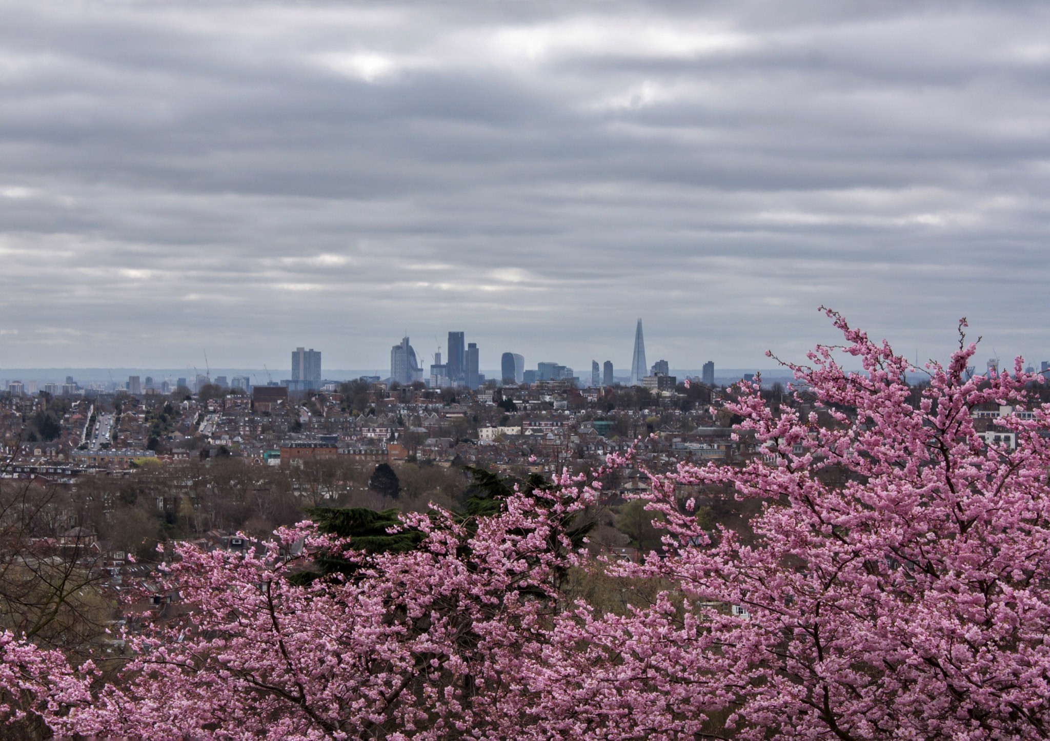 Canon EOS 450D (EOS Rebel XSi / EOS Kiss X2) sample photo. London from afar photography