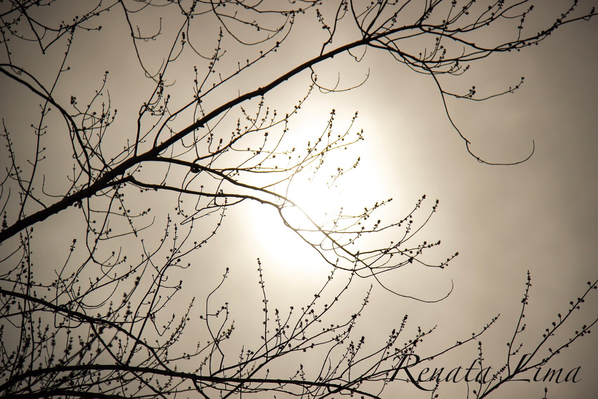 Canon EF-S 18-200mm F3.5-5.6 IS sample photo. Sun light in a beautiful first spring day photography