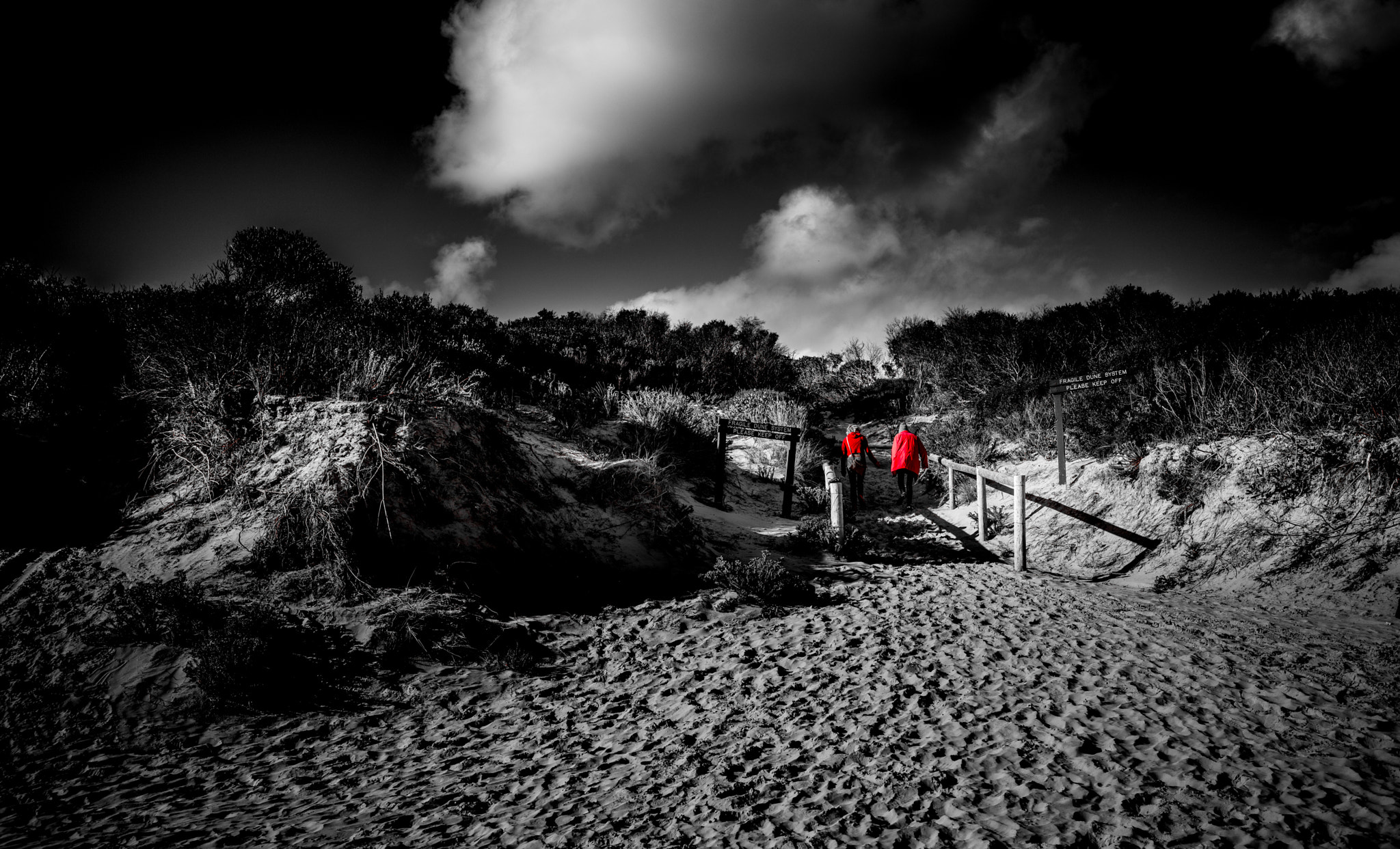 Canon EOS 5DS + Canon EF 16-35mm F4L IS USM sample photo. Selective color photography