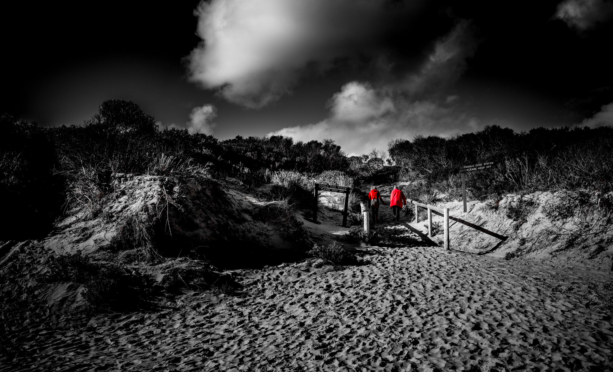 Canon EF 16-35mm F4L IS USM sample photo. Selective color photography