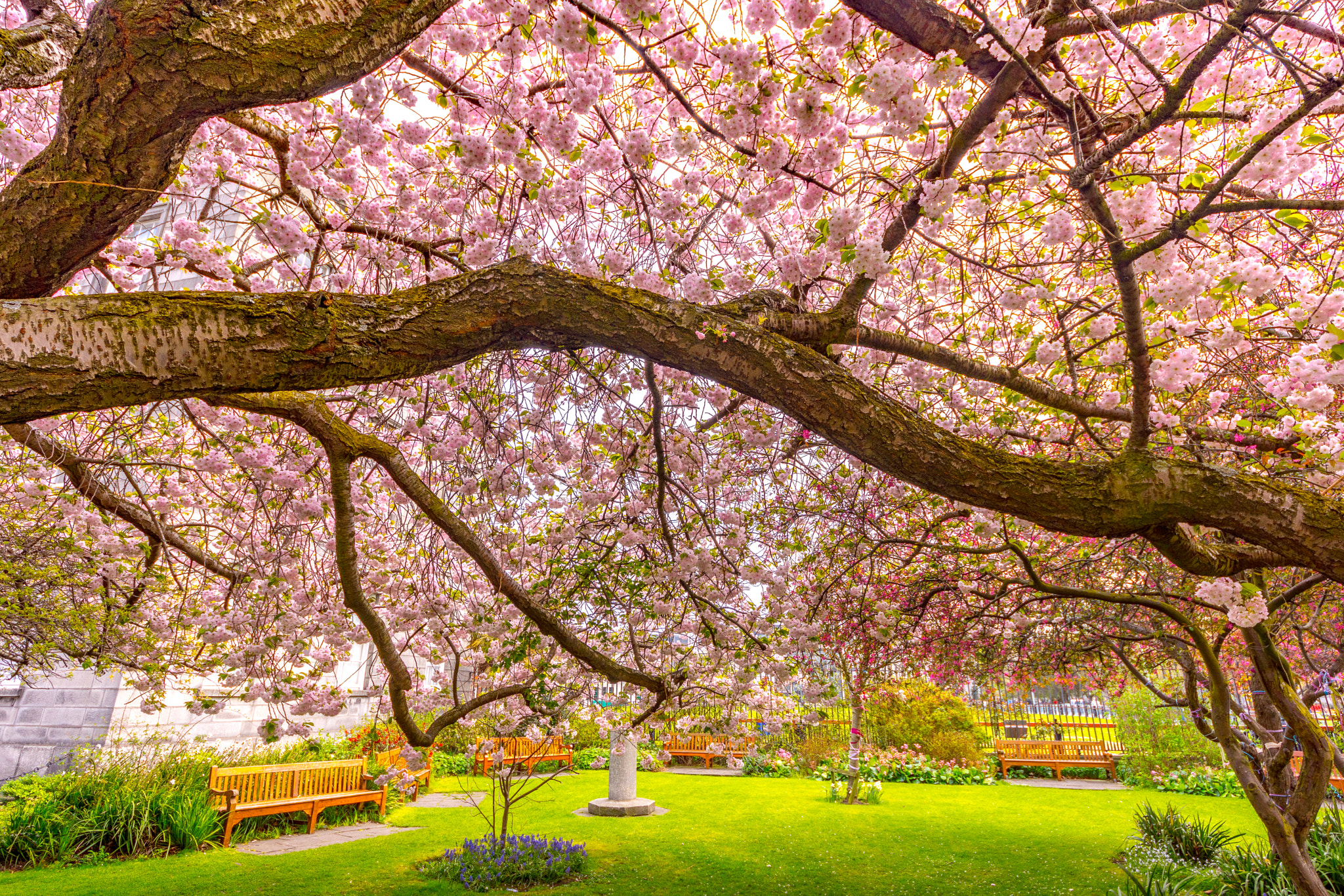 Sigma 8-16mm F4.5-5.6 DC HSM sample photo. Spring is coming photography