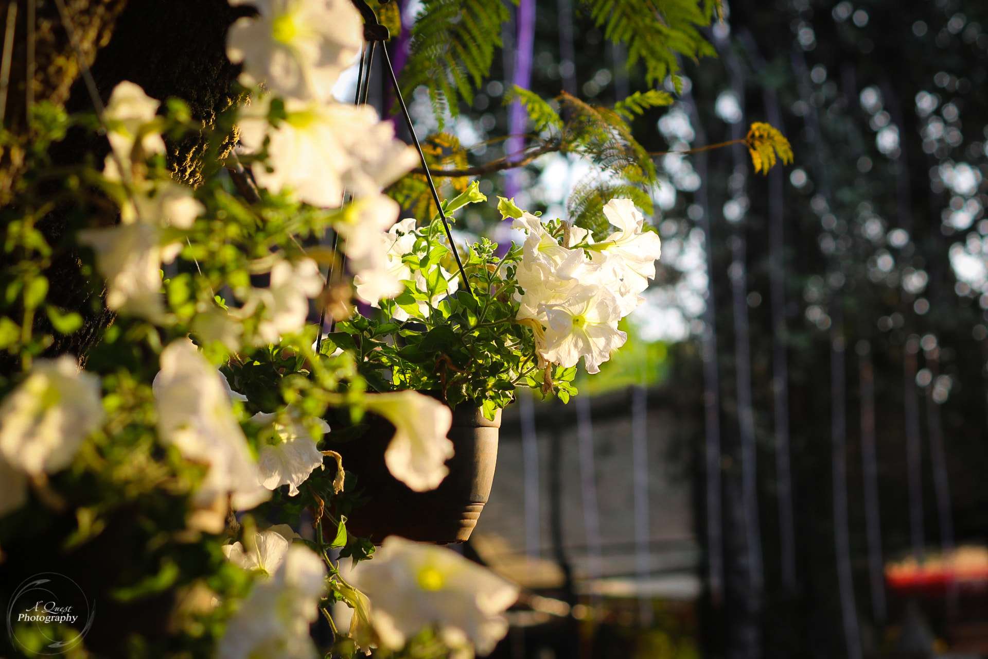 Canon EOS 750D (EOS Rebel T6i / EOS Kiss X8i) sample photo