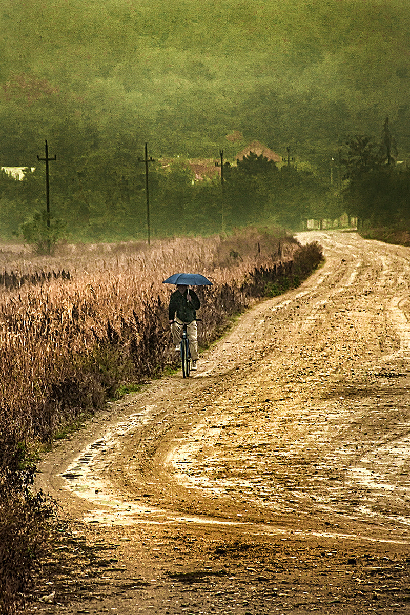 Canon EOS 40D sample photo. Pedaling in the rain photography