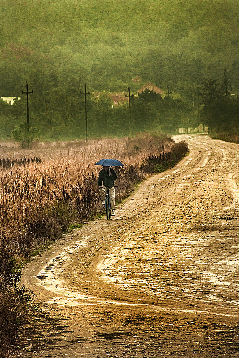 Canon EOS 40D + Canon EF 28-135mm F3.5-5.6 IS USM sample photo. Pedaling in the rain photography