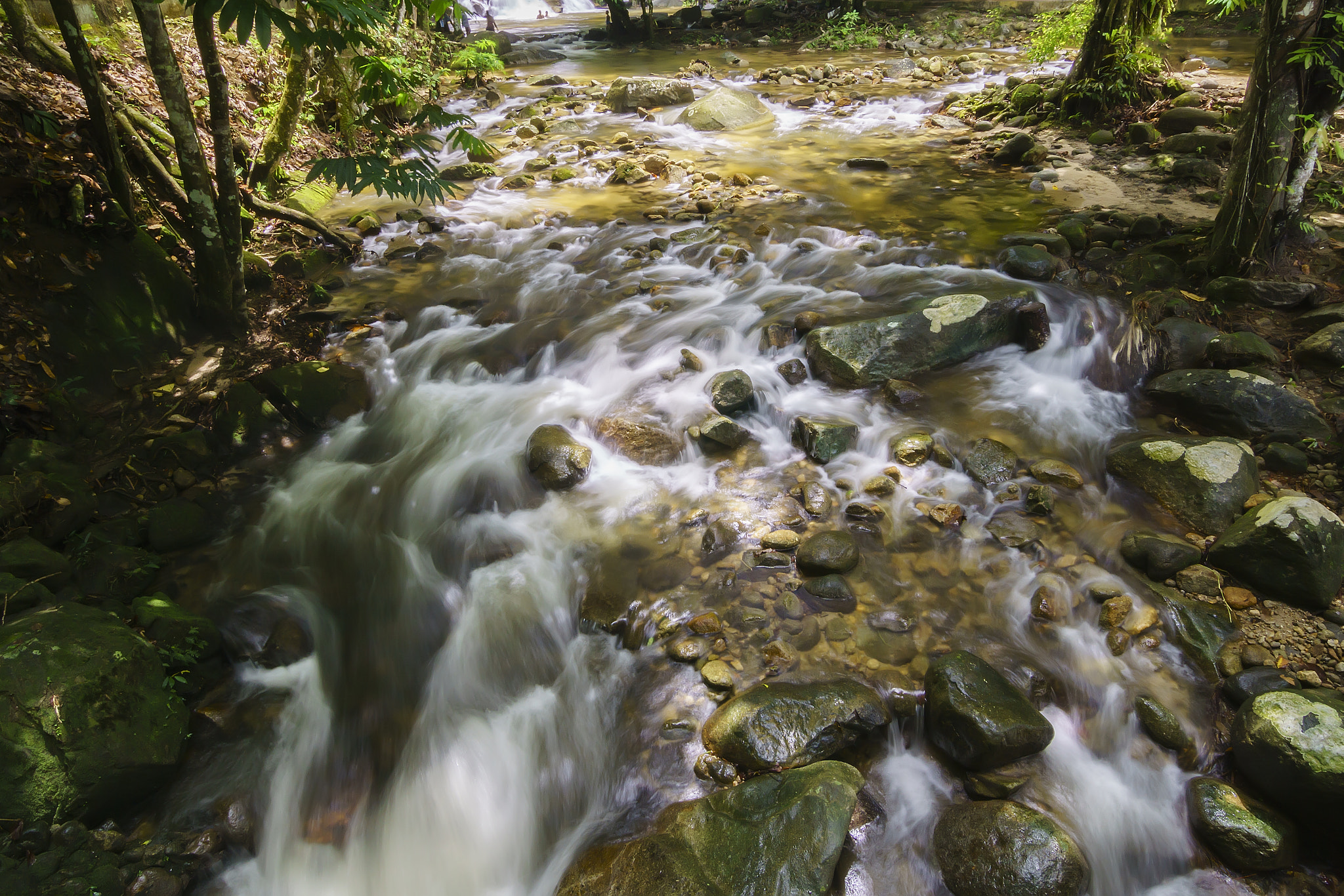 Sony a6000 sample photo. Lata kinjang, perak photography