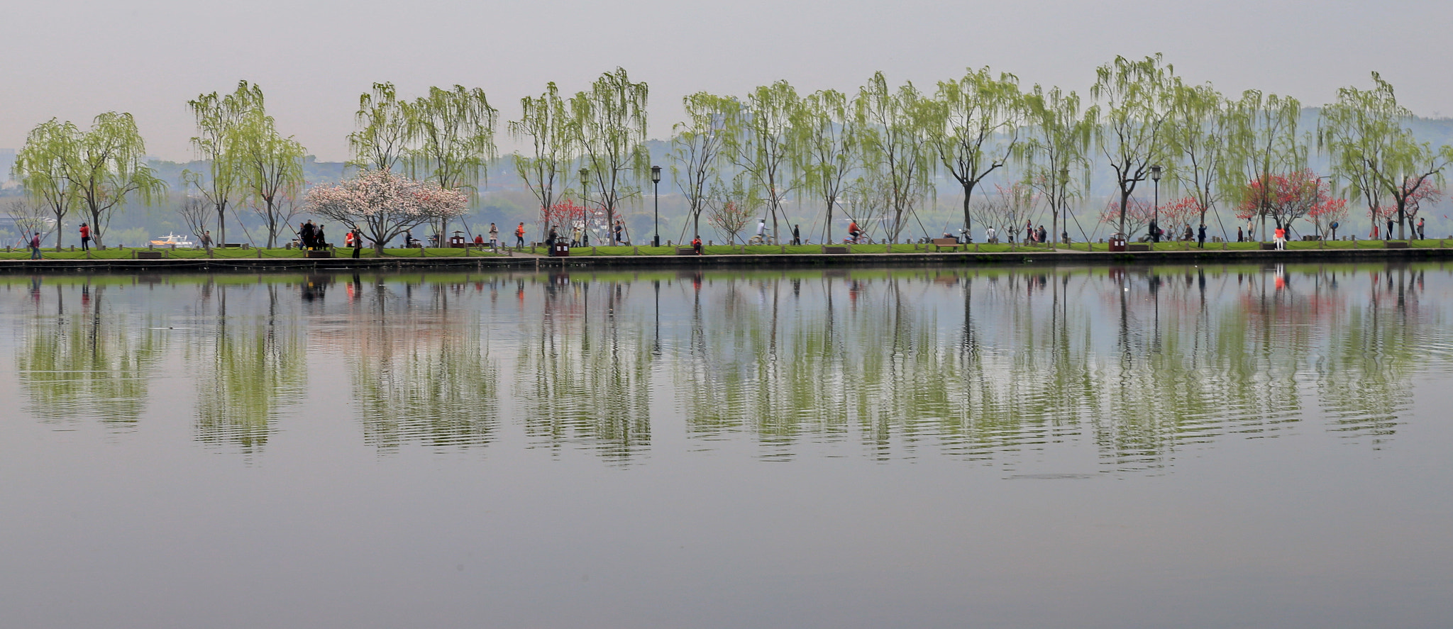 Canon EOS-1D X sample photo. Westlake in spring photography