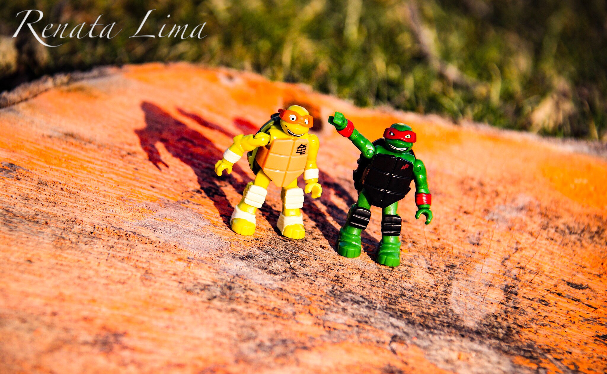 Canon EF-S 18-200mm F3.5-5.6 IS sample photo. Turtle ninja photography