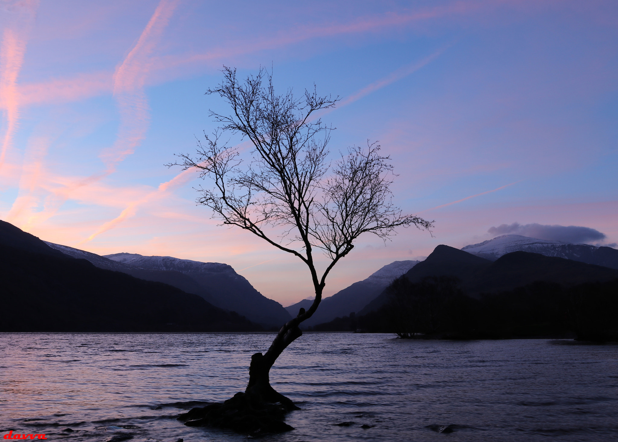 Canon EOS 80D sample photo. Lonely tree sunrise photography