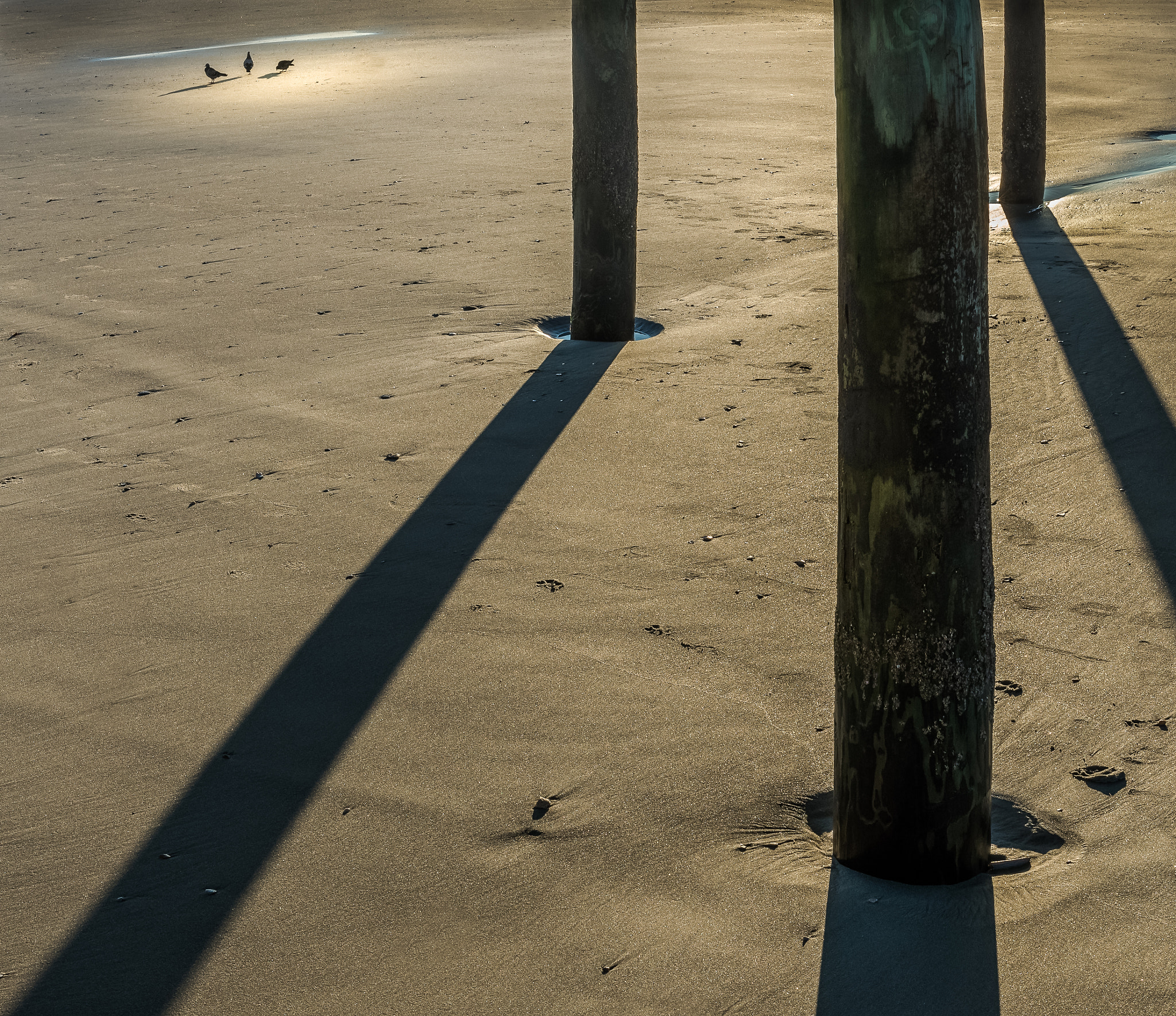 Nikon AF-S Nikkor 24-70mm F2.8G ED sample photo. Morning at the beach photography