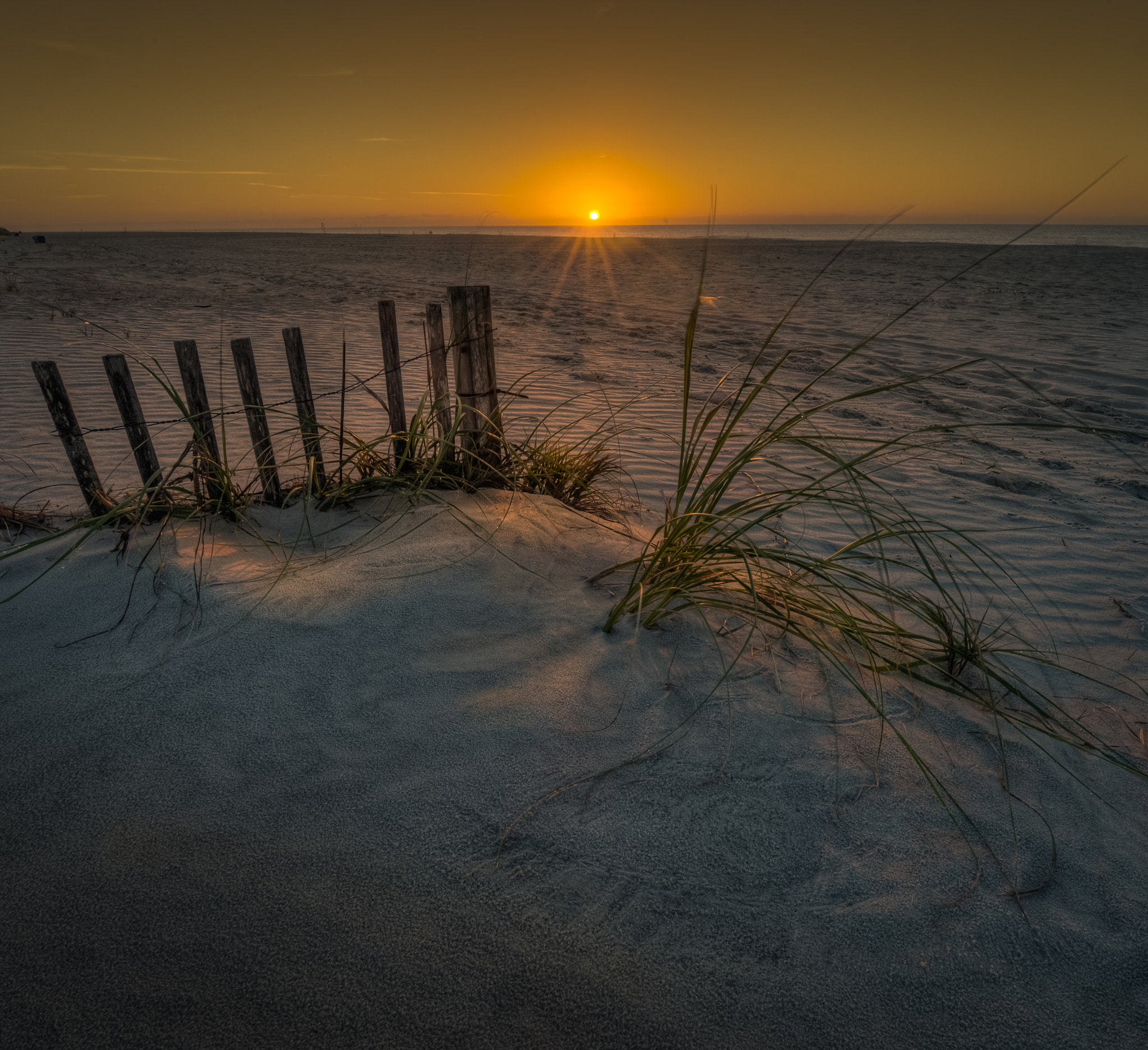 Nikon AF-S Nikkor 14-24mm F2.8G ED sample photo. Hilton head sunrise photography