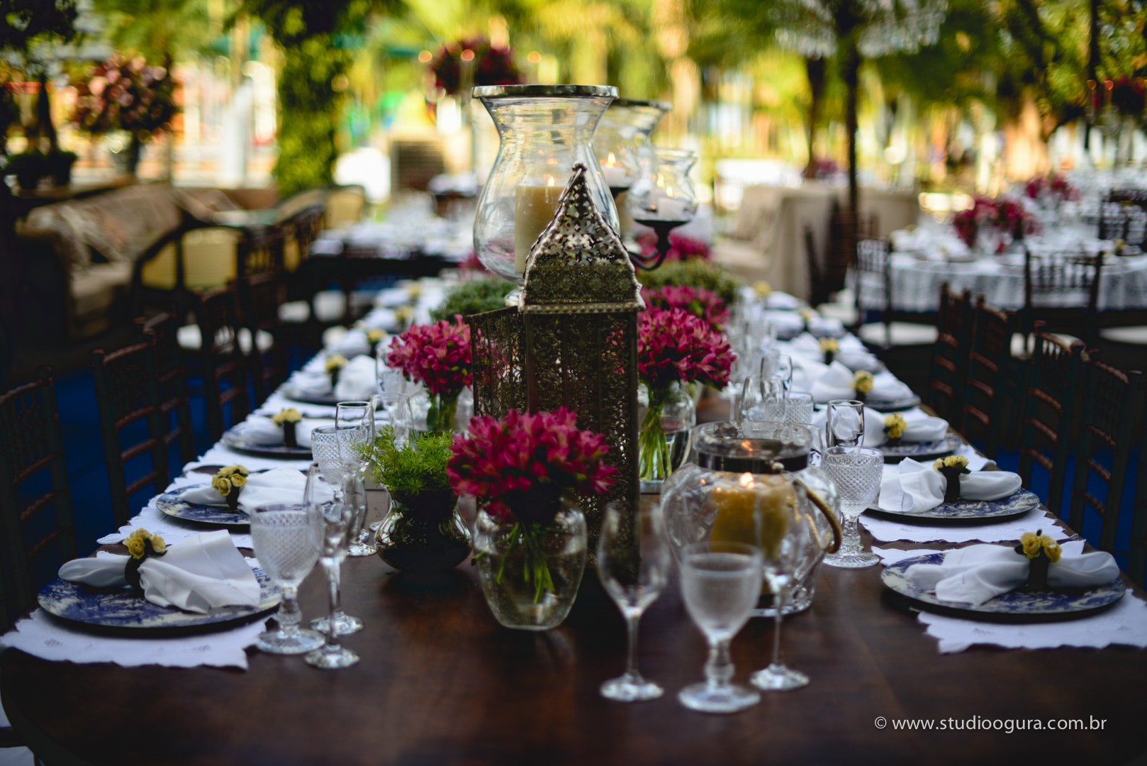Nikon D800 + Nikon AF-S Nikkor 50mm F1.4G sample photo. Ogu photography