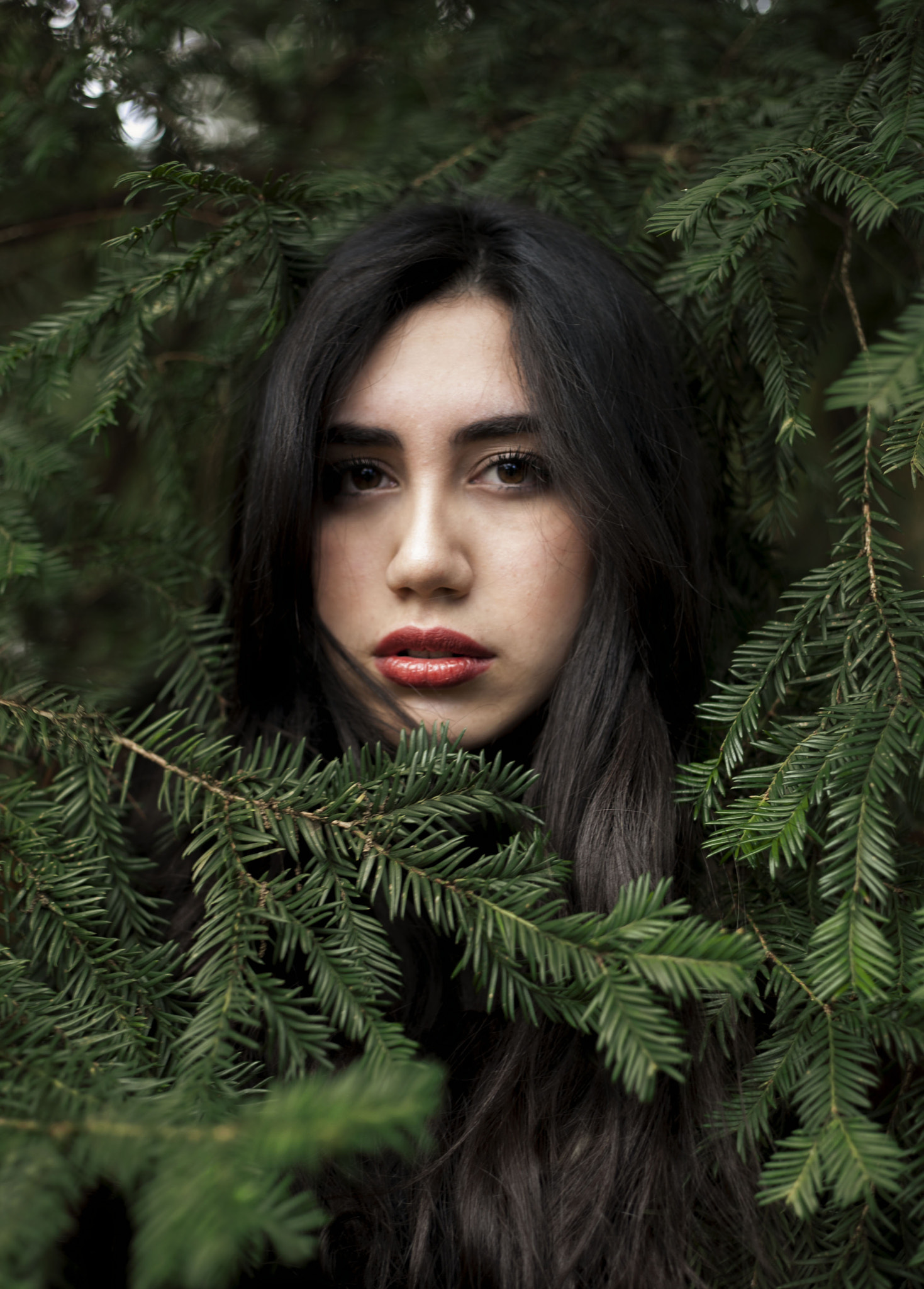 Canon EF 50mm F1.8 II sample photo. Leave me here photography