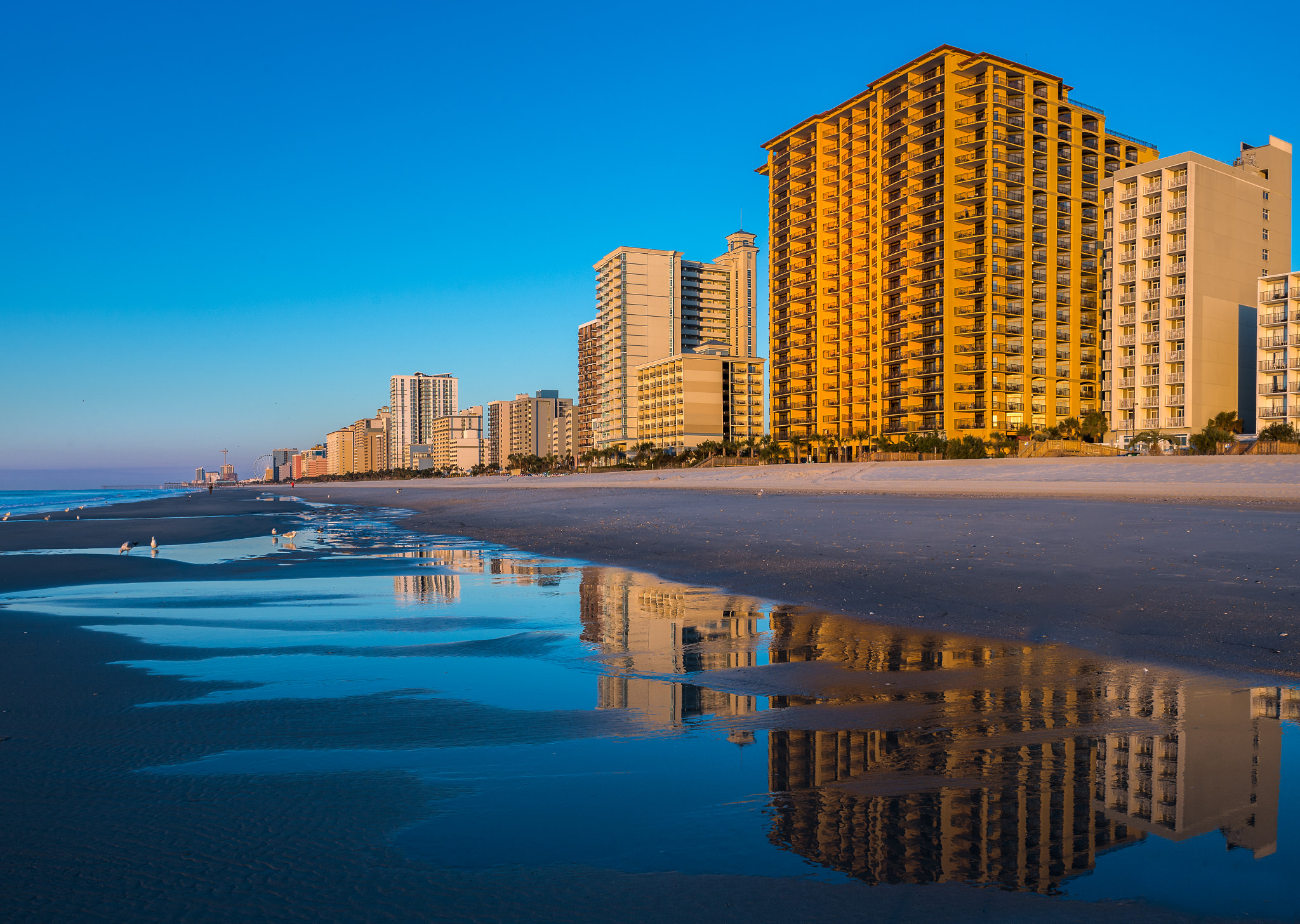 Nikon AF-S Nikkor 24-70mm F2.8G ED sample photo. Myrtle beach reflections photography
