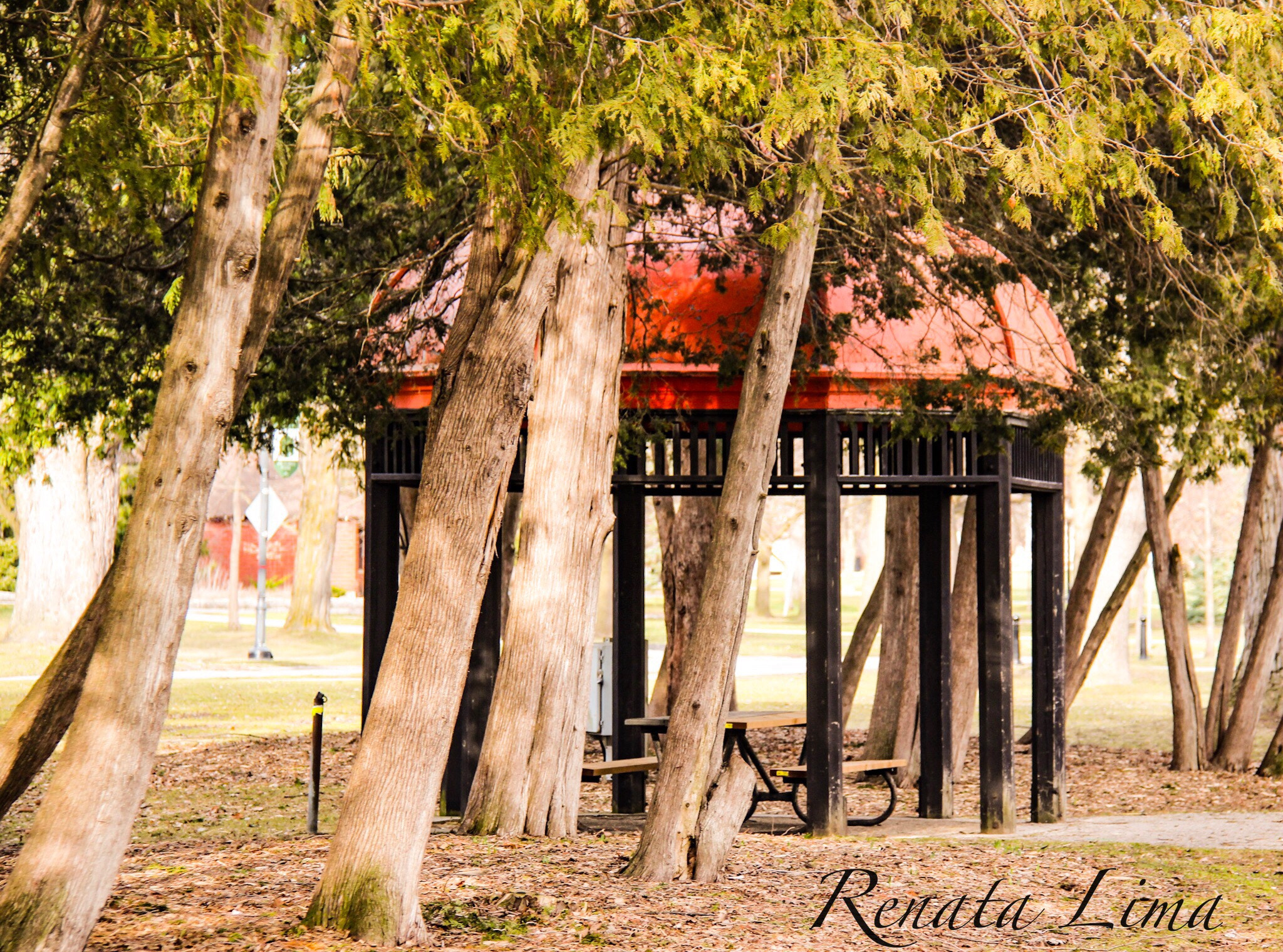 Canon EF-S 18-200mm F3.5-5.6 IS sample photo. Place to relax at the park photography