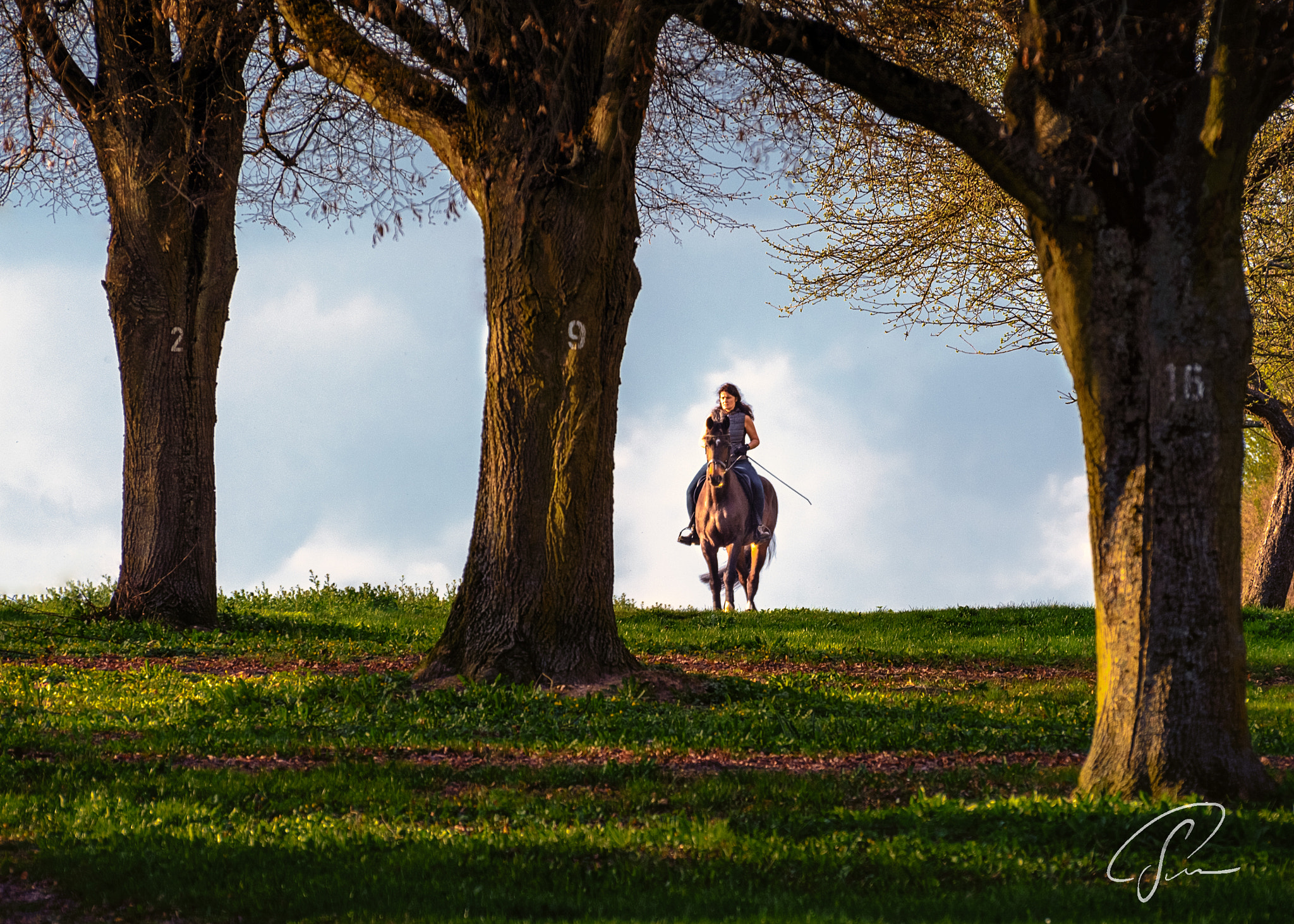 Nikon D7100 sample photo. Frühlingsritt an der alteburg in heftrich photography