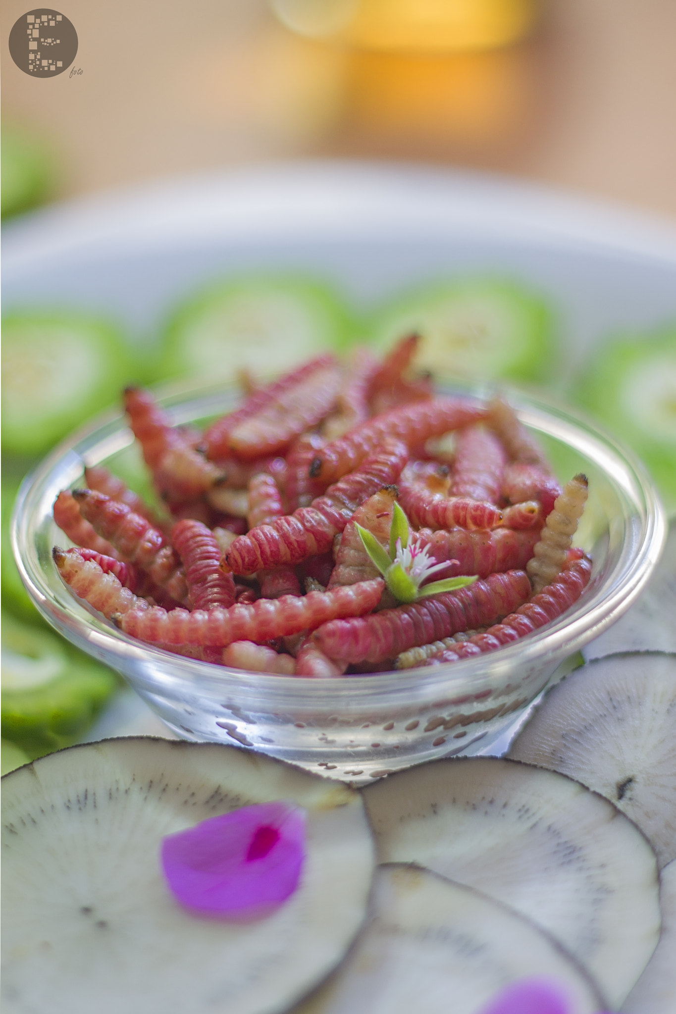 Canon EOS 1100D (EOS Rebel T3 / EOS Kiss X50) sample photo. Worms on plate photography