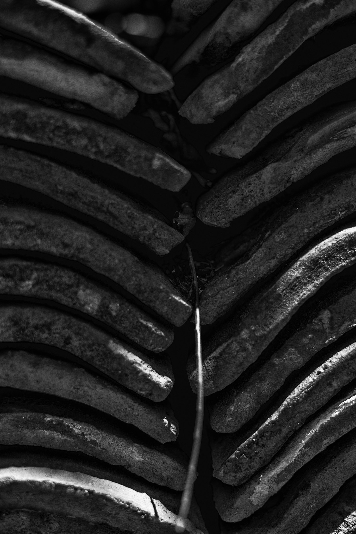 Nikon D610 + Nikon AF-S Nikkor 50mm F1.8G sample photo. Urban books photography