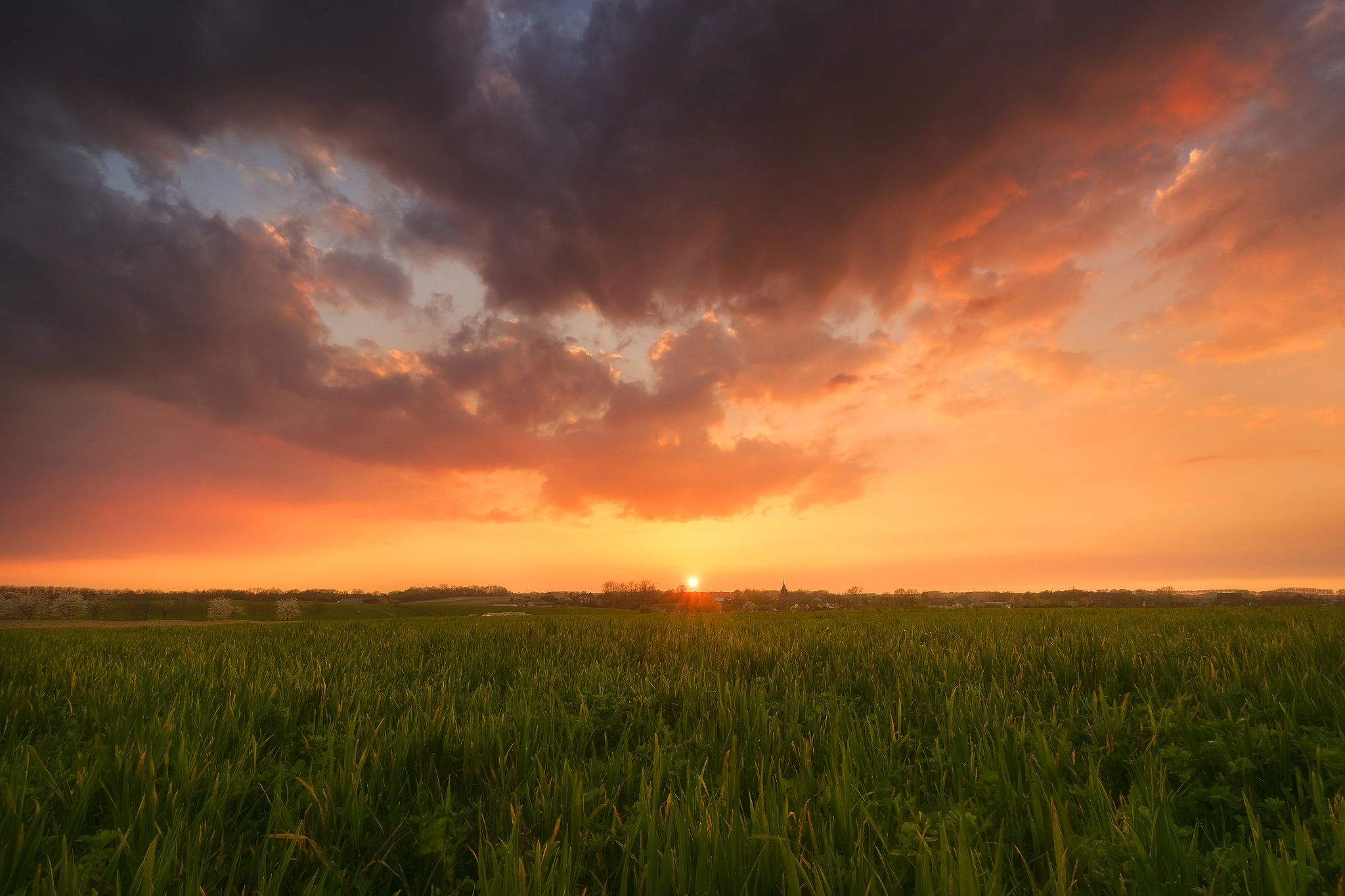 Sony a7 + Sony Vario-Tessar T* FE 16-35mm F4 ZA OSS sample photo. Sunset in the fields photography