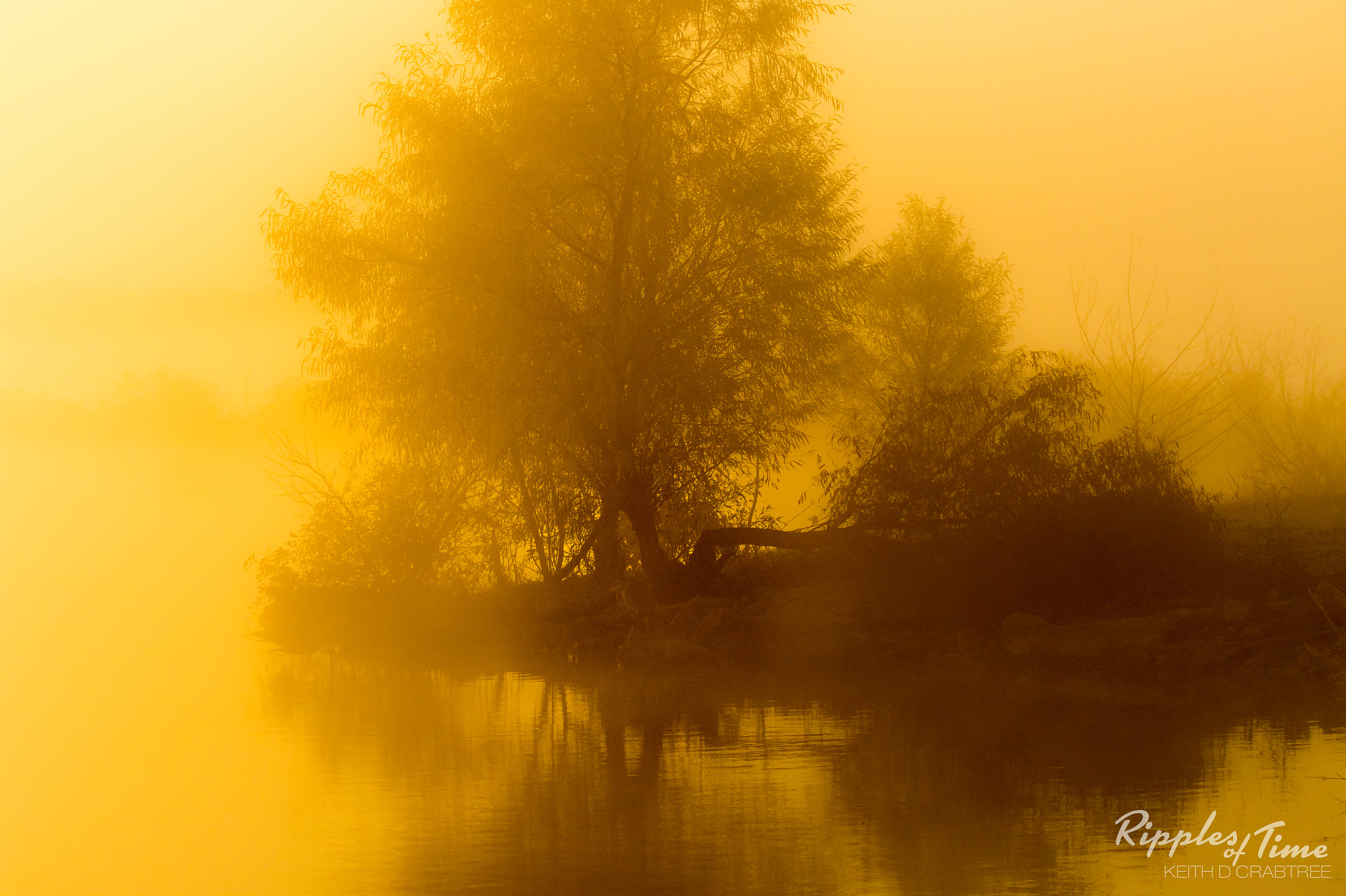 Canon EF 100-400mm F4.5-5.6L IS USM sample photo. Golden light photography
