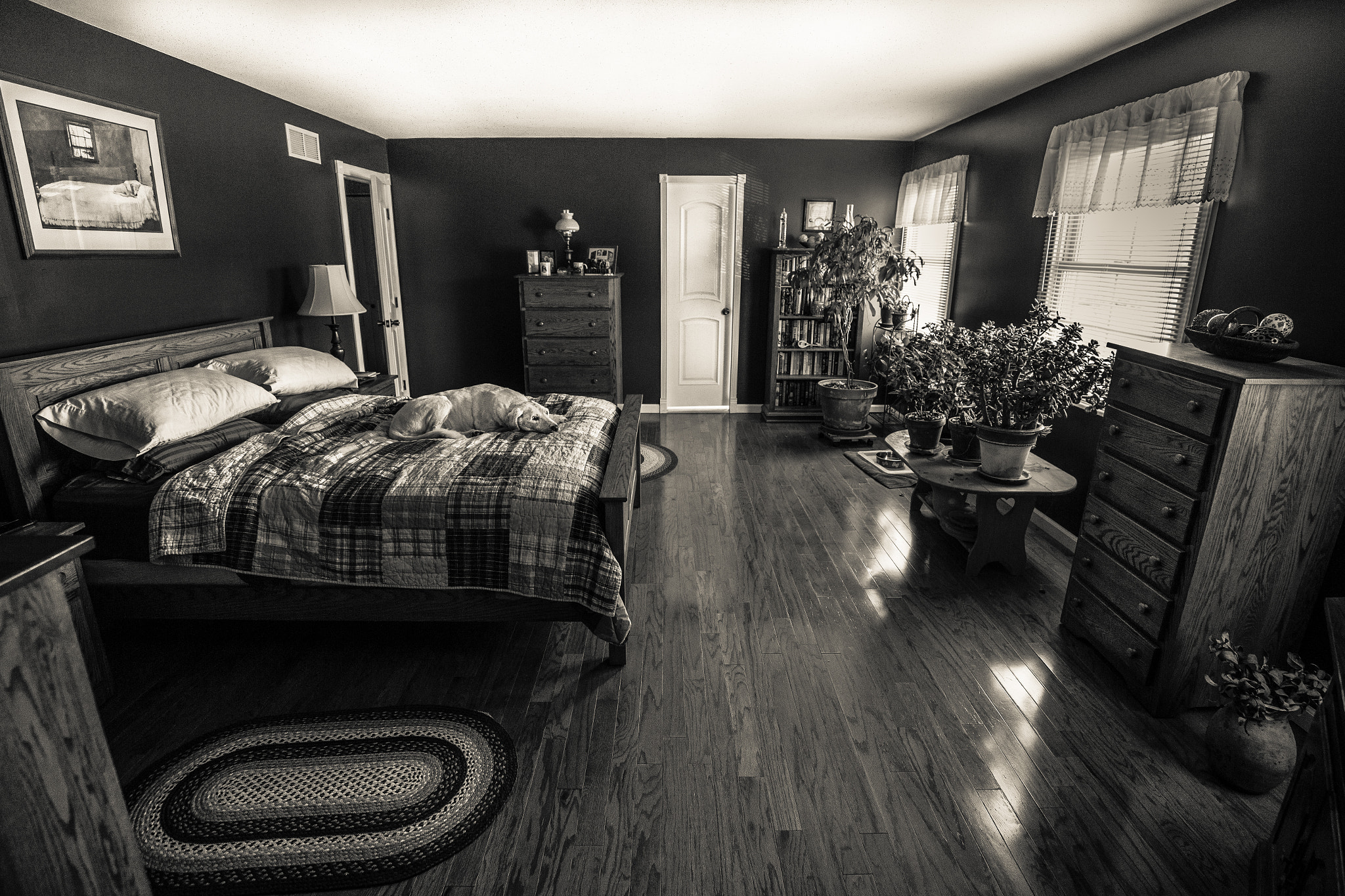 Canon EF 16-35mm F4L IS USM sample photo. Life imitating art photography
