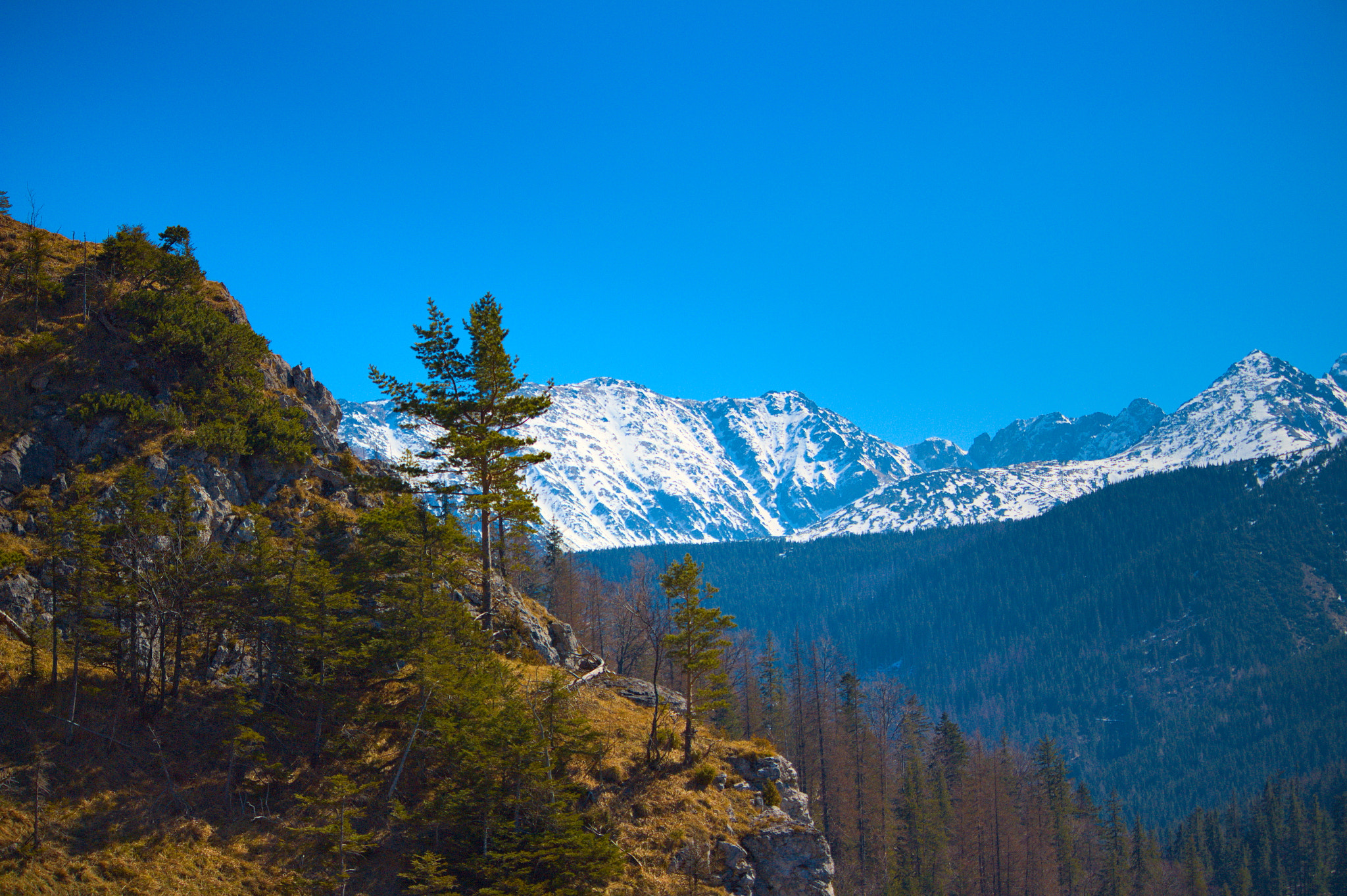 Canon EF-S 55-250mm F4-5.6 IS STM sample photo. Tatry photography