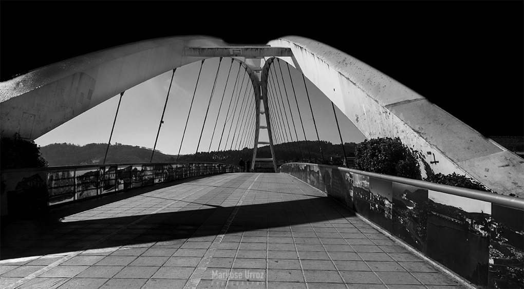 Nikon D300 sample photo. Bridge photography