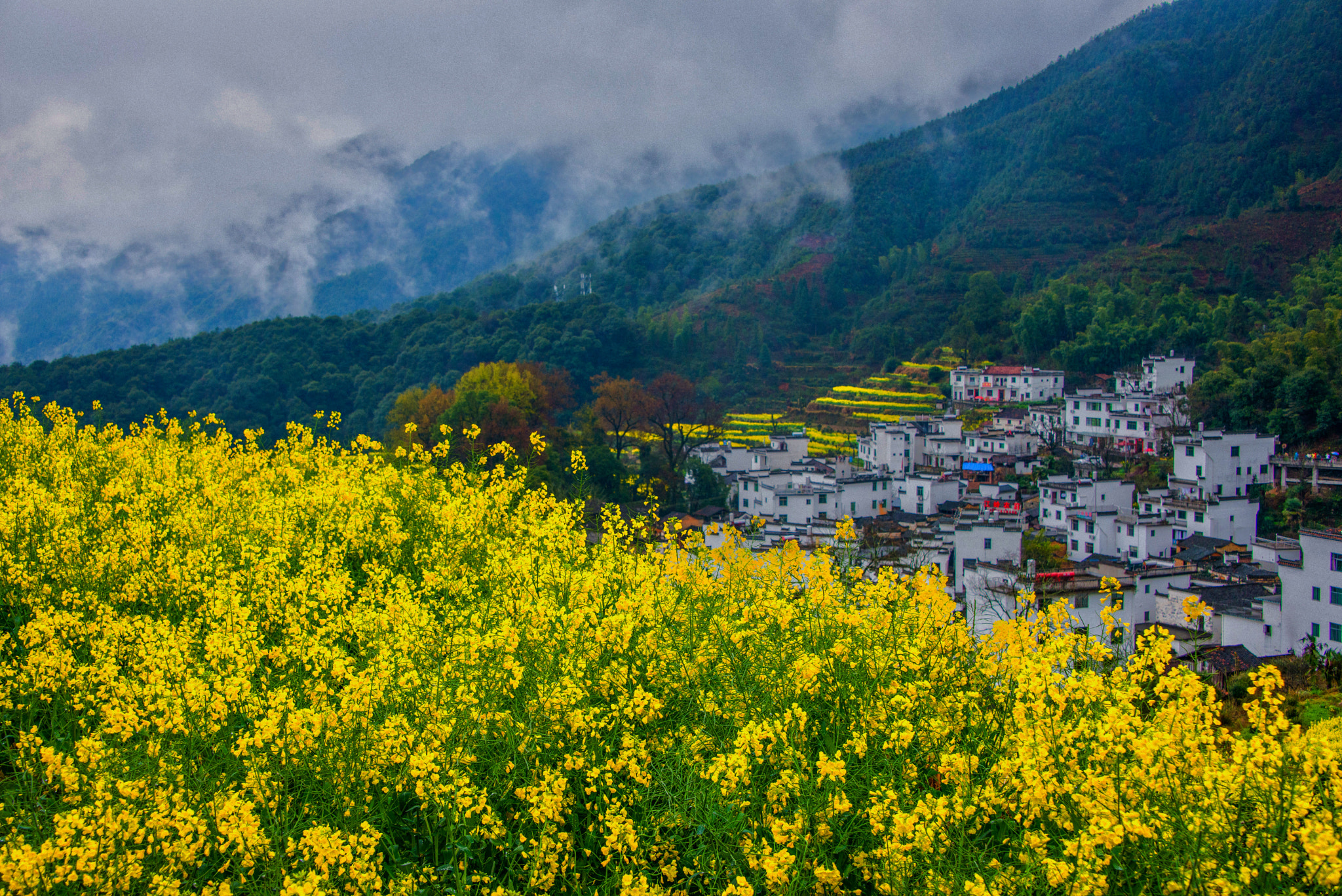 Nikon D800 sample photo. Beautiful countryside 02 photography