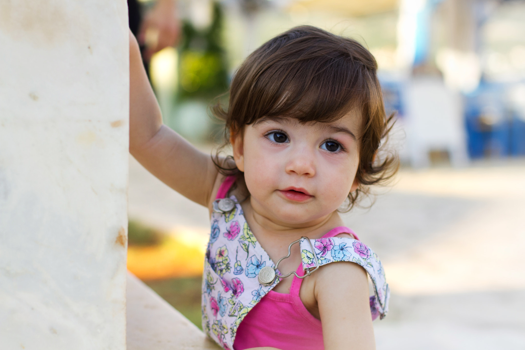Canon EOS 7D + Canon EF 50mm F1.4 USM sample photo. Darin photography