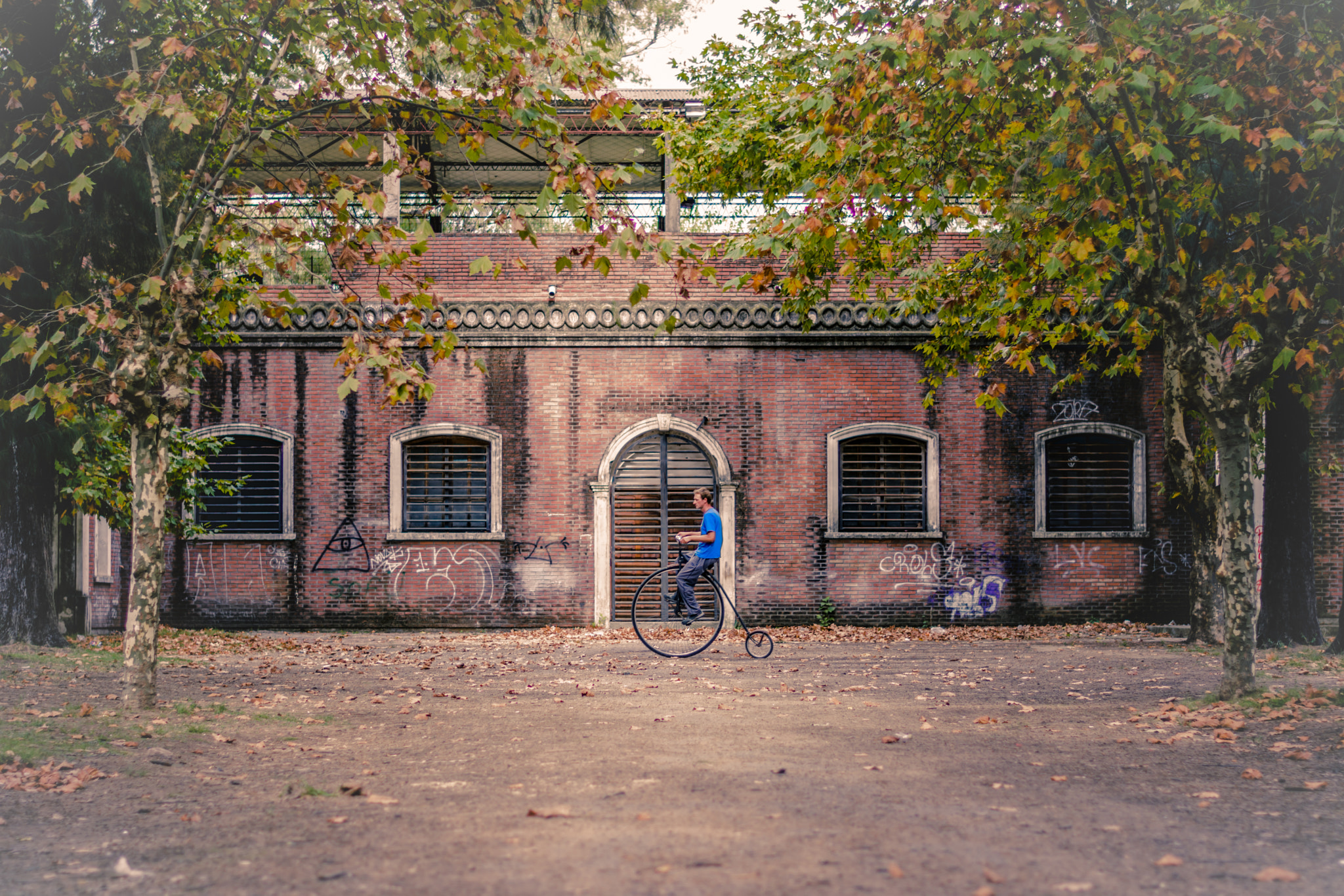 Nikon D7100 sample photo. Paseo de otoño photography